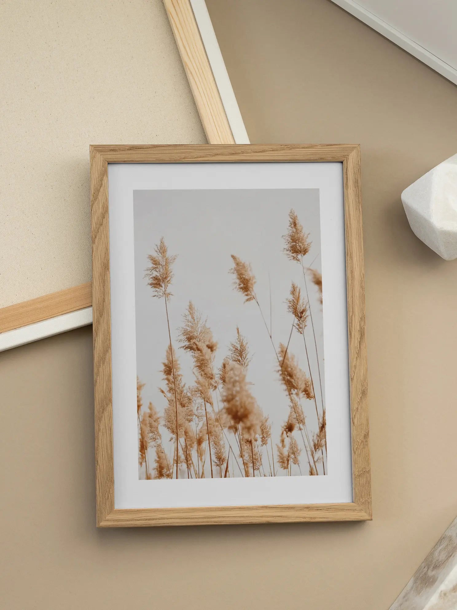 Calm Reeds Poster