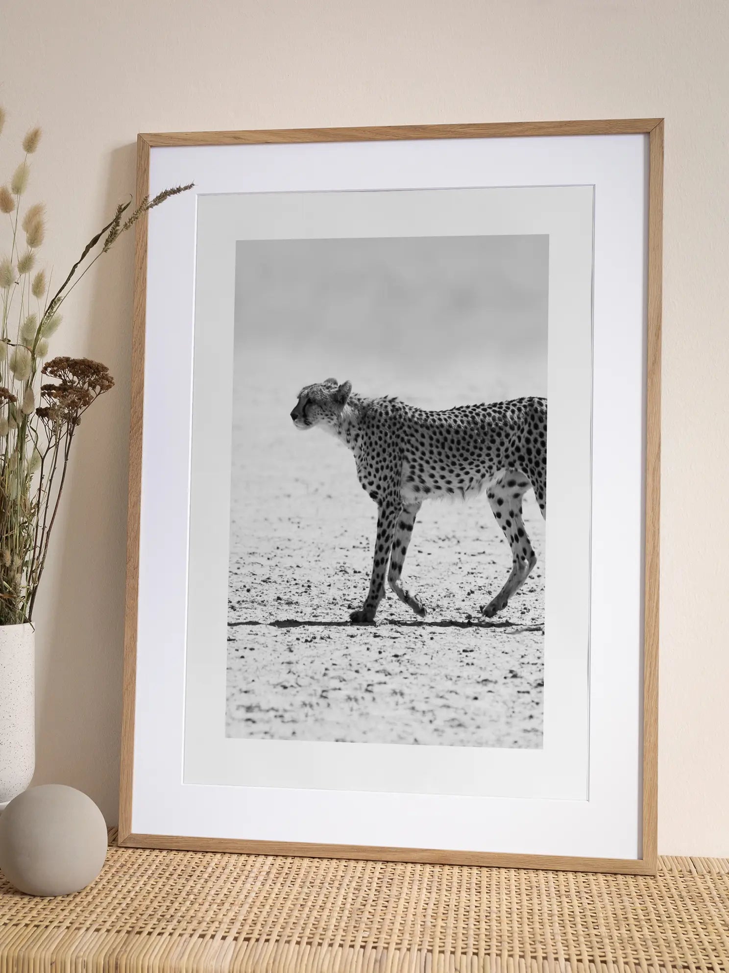 Cheetah in Dunes Poster