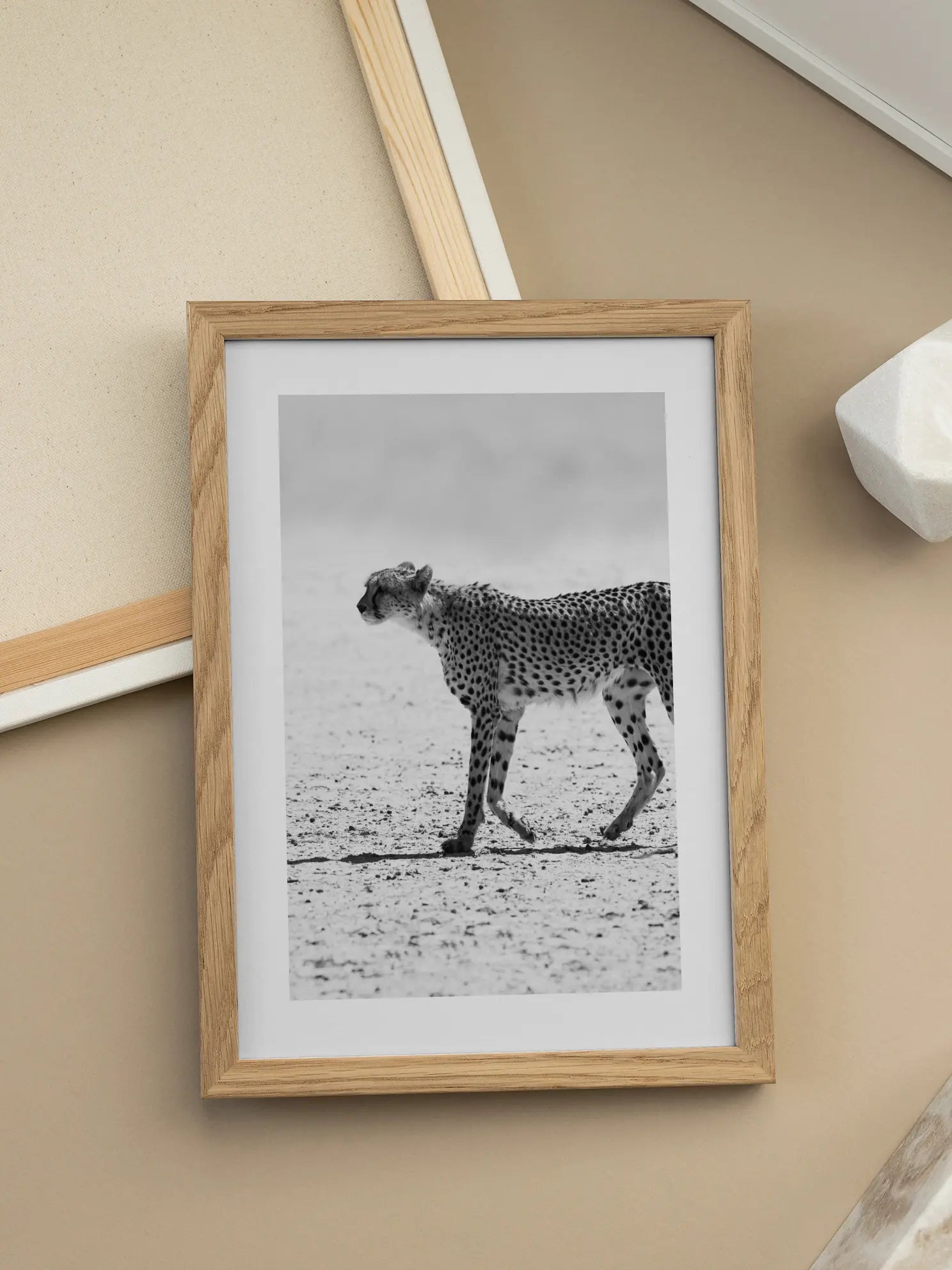 Cheetah in Dunes Poster