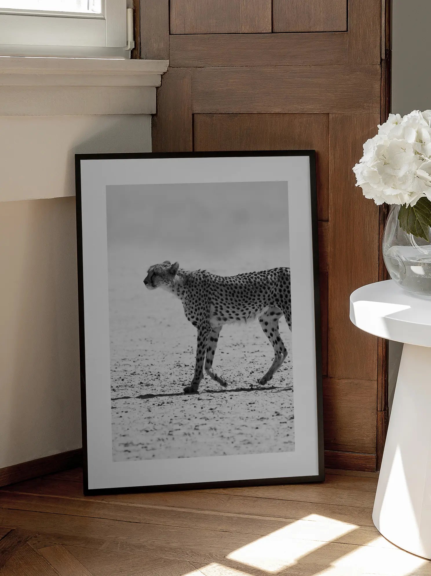 Cheetah in Dunes Poster