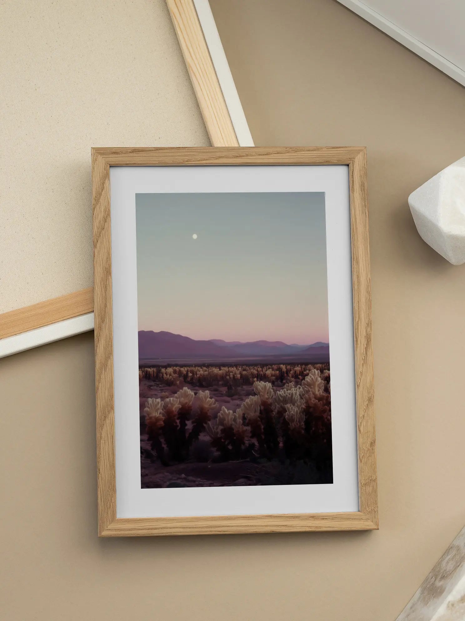 Cholla Cactus Poster