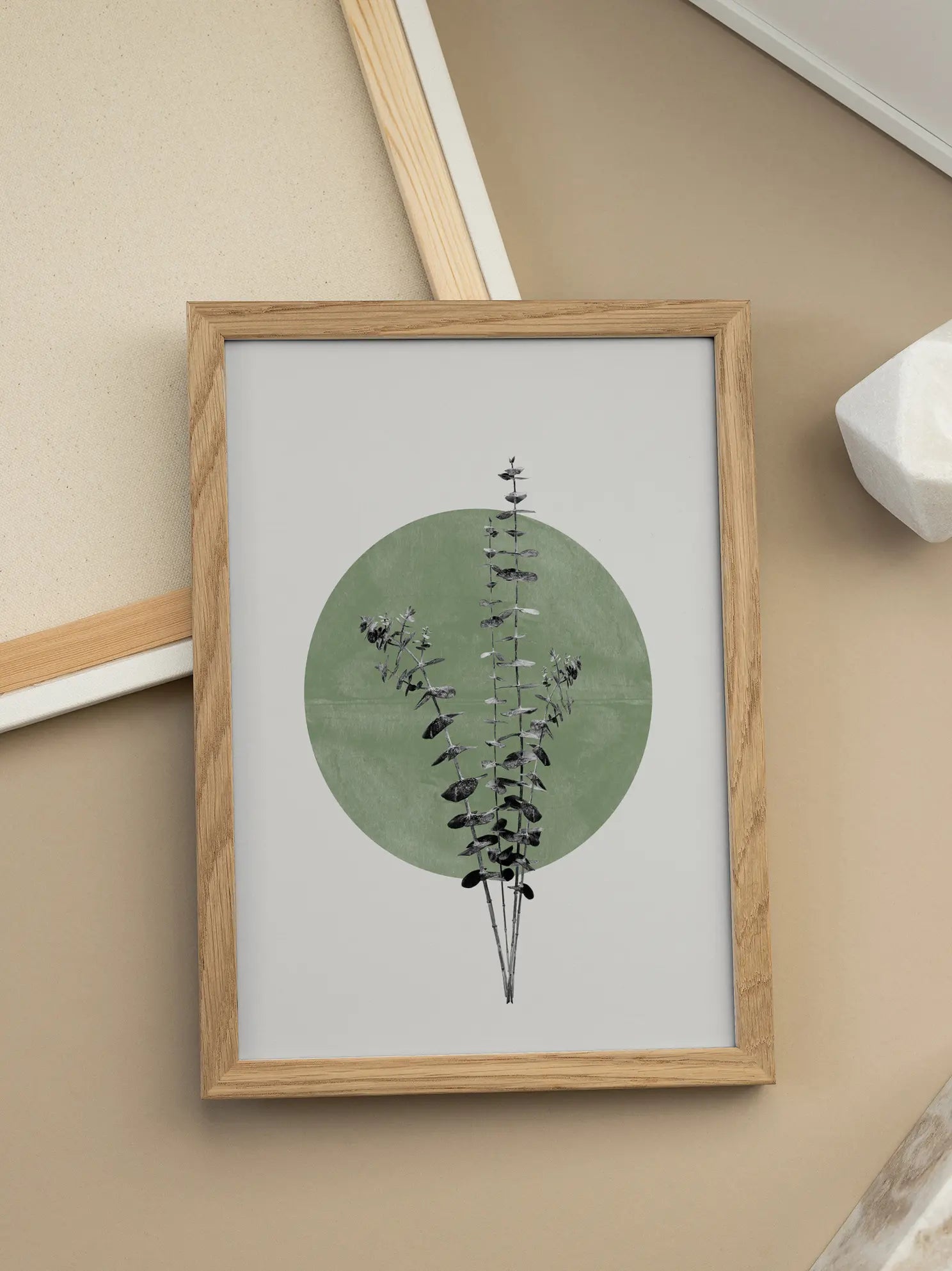 Circular Eukalyptus Poster