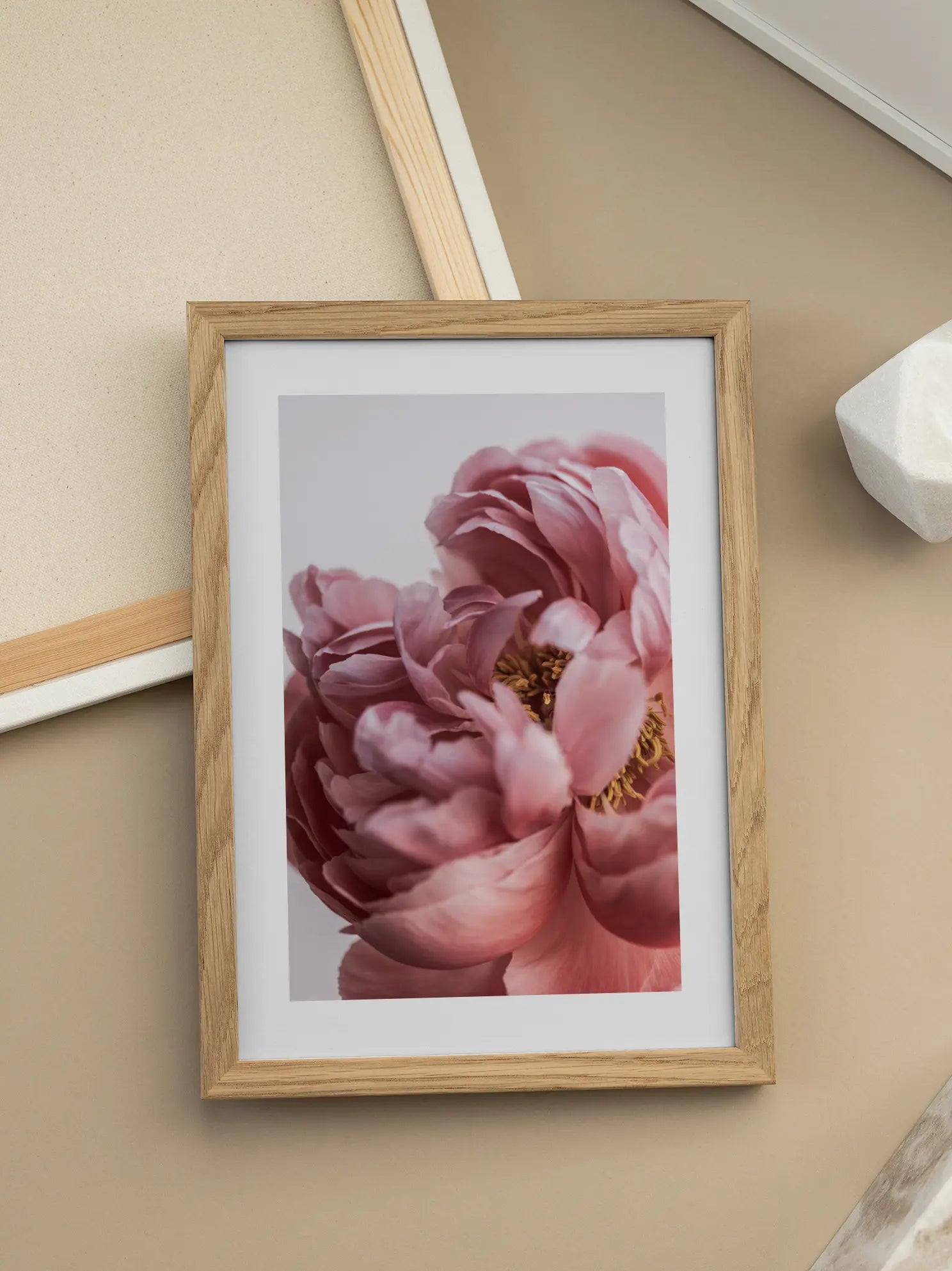 Close Up Peony Poster