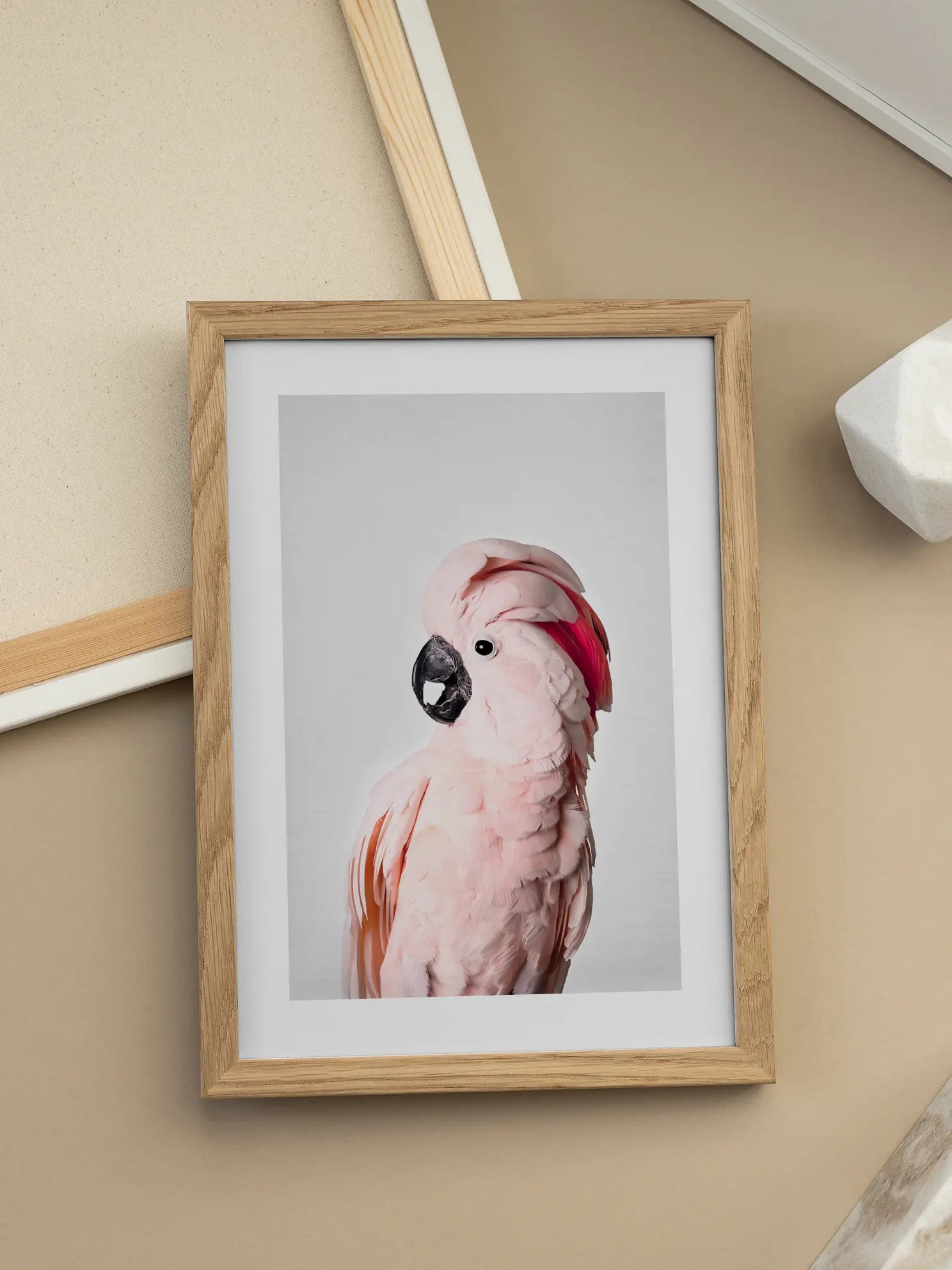 Cockatoo Poster