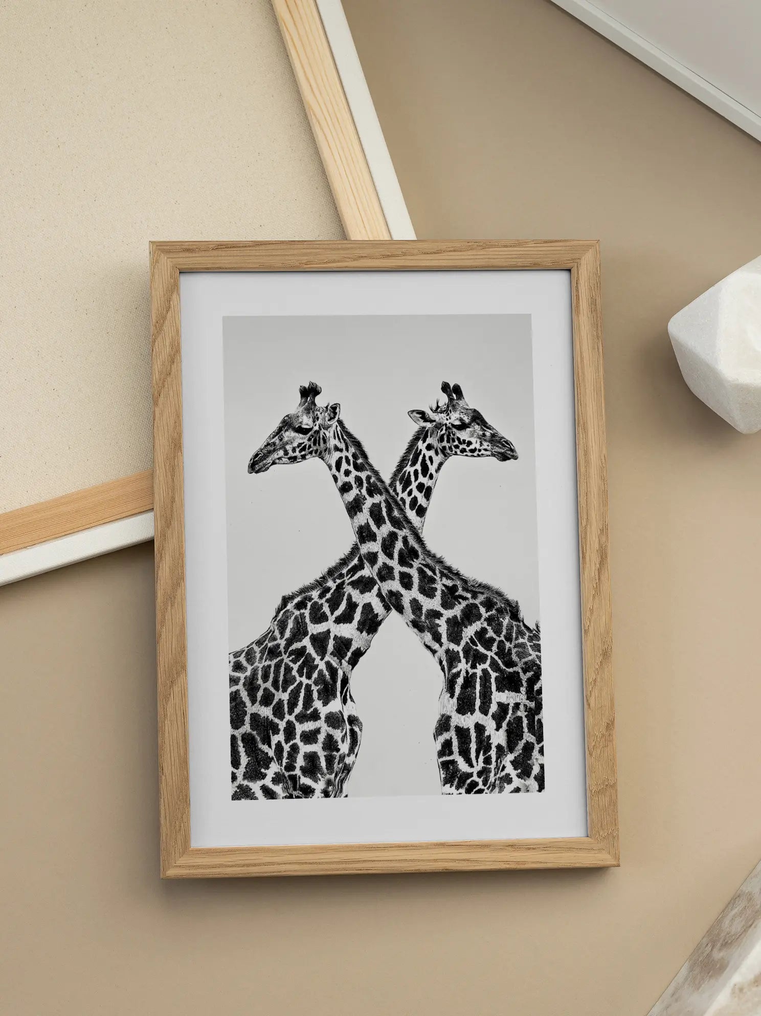 Crossing Giraffes Poster
