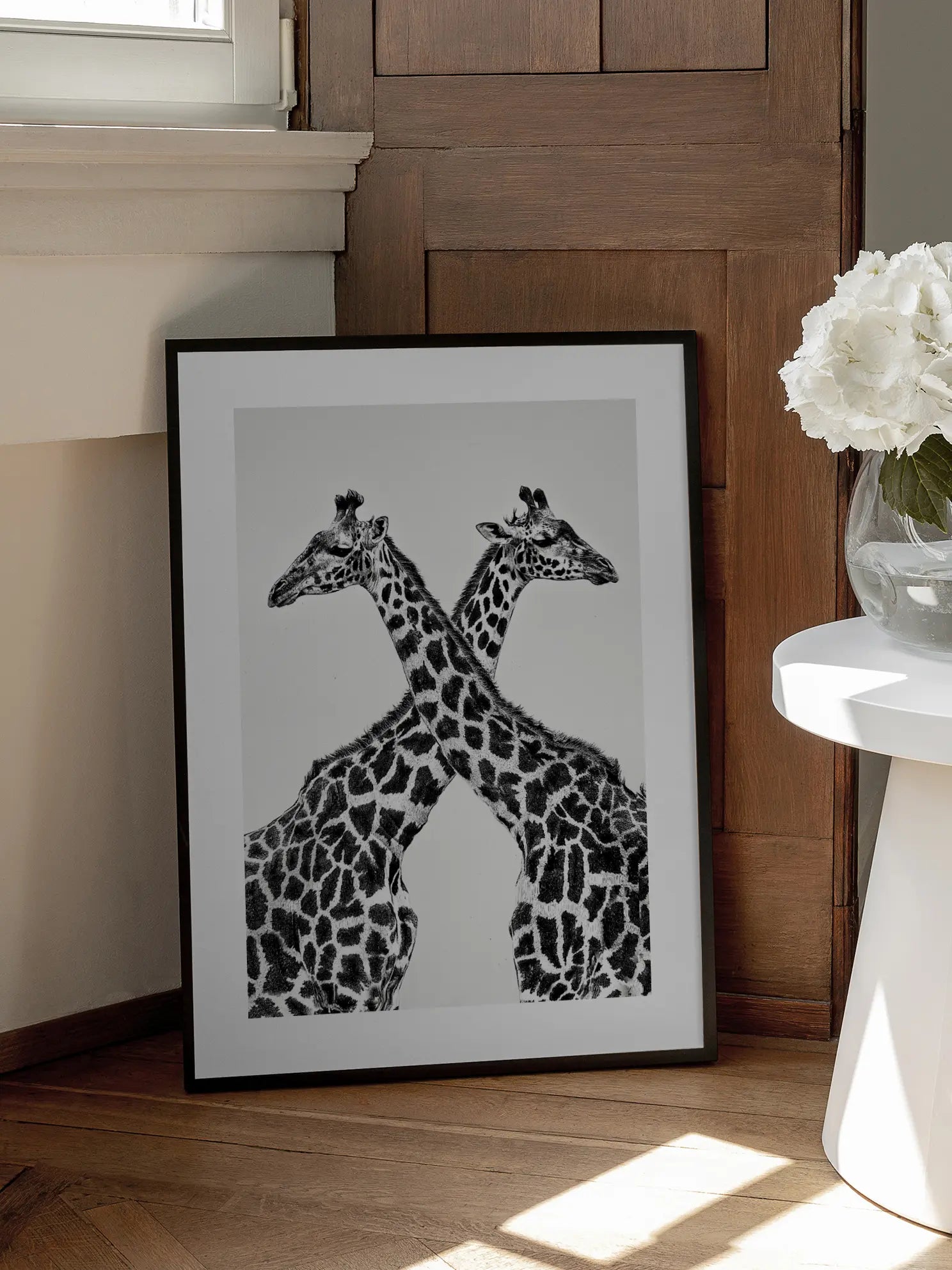 Crossing Giraffes Poster