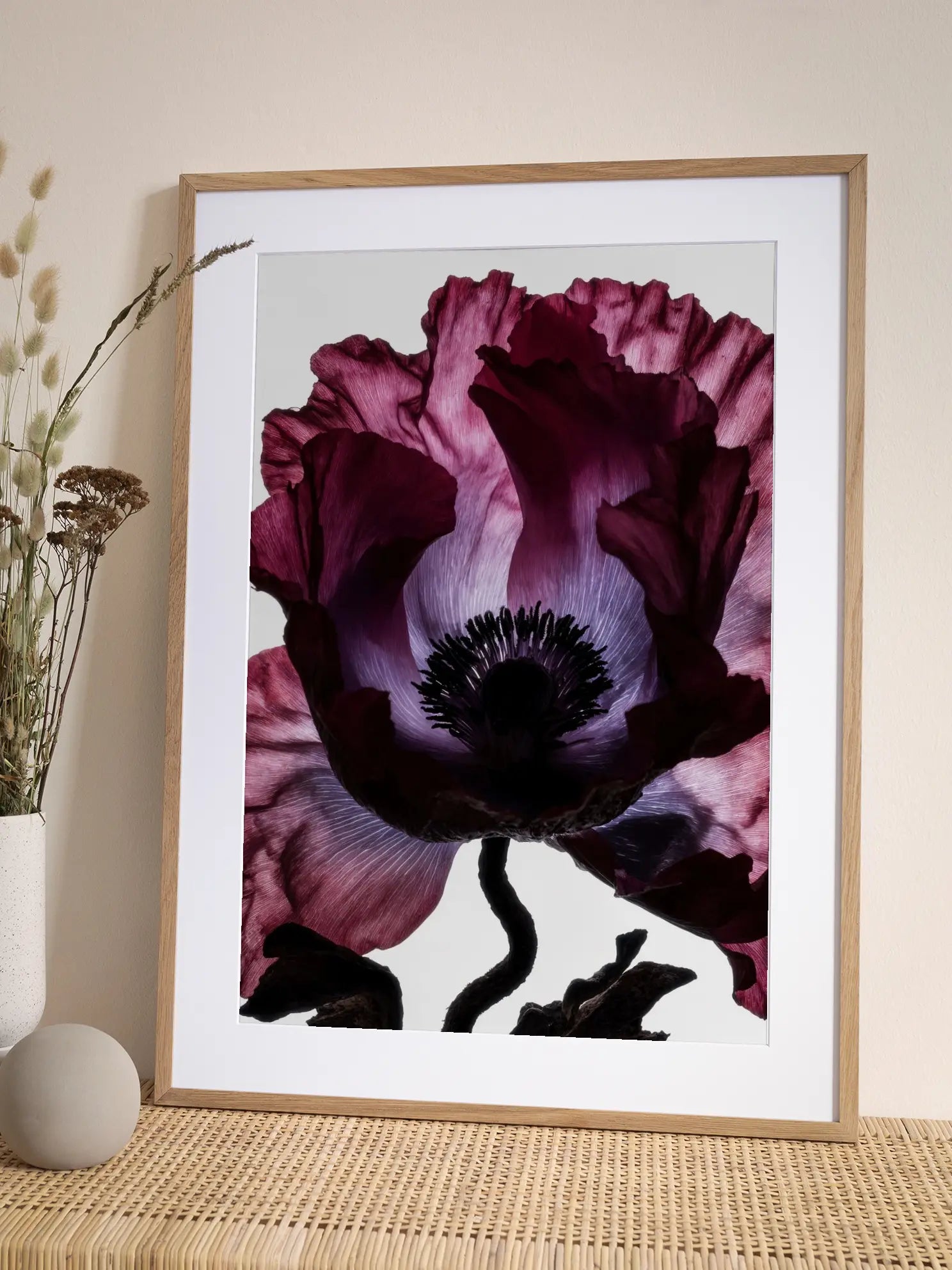 Dark Poppy Flower Poster