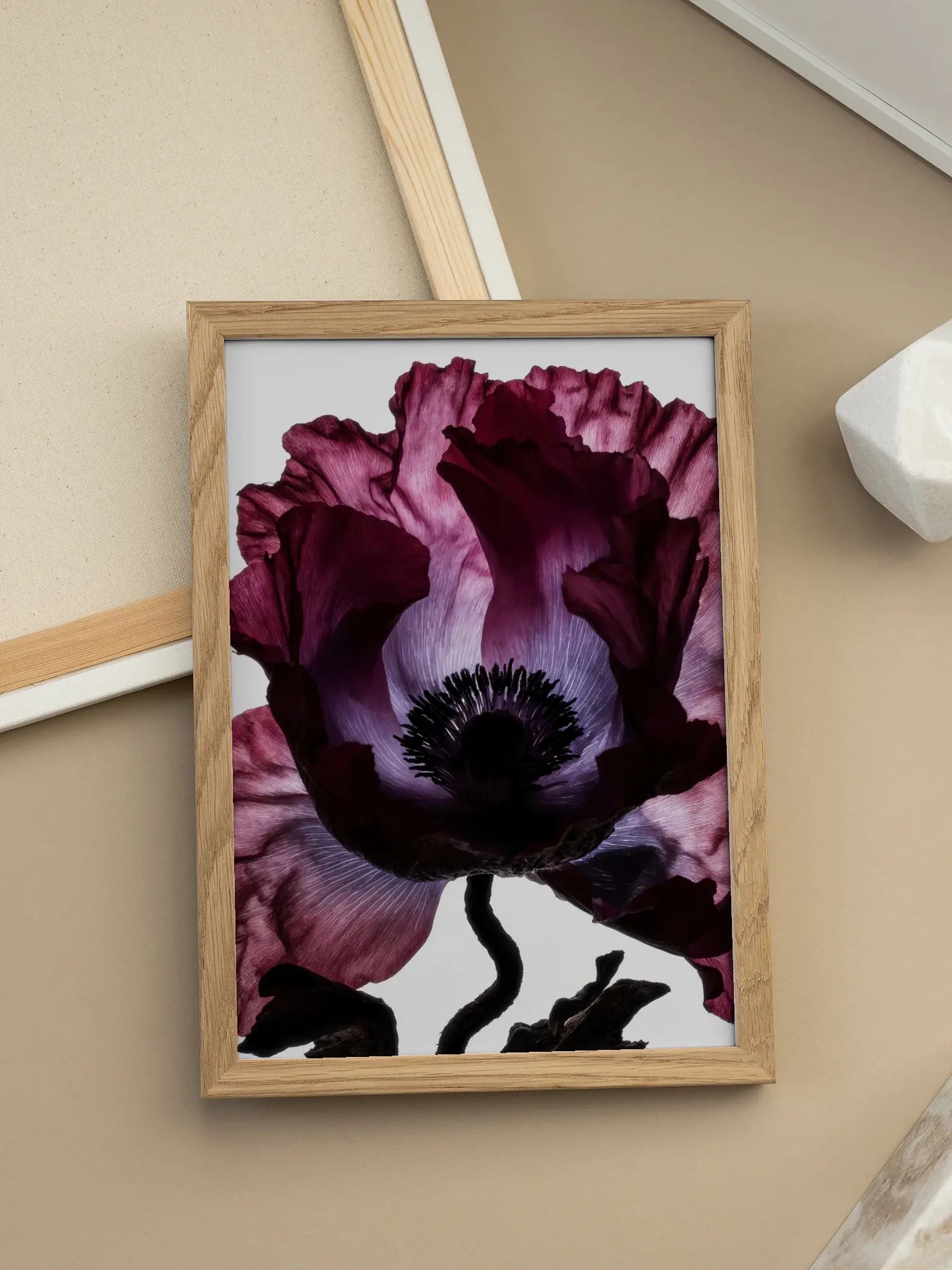 Dark Poppy Flower Poster