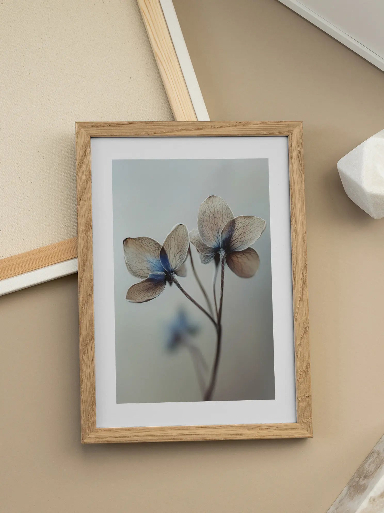 Delicate Blue Flower Poster