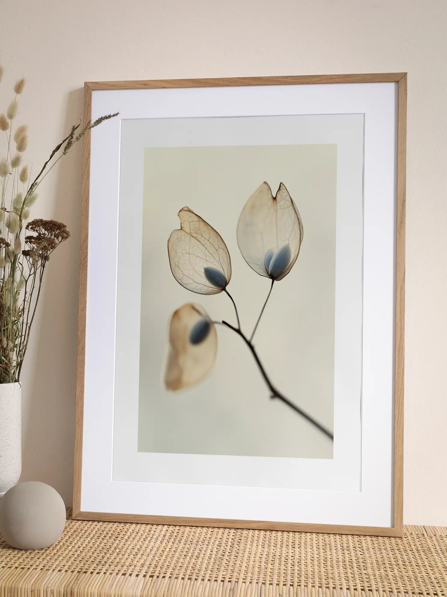 Delicate Seeds Poster