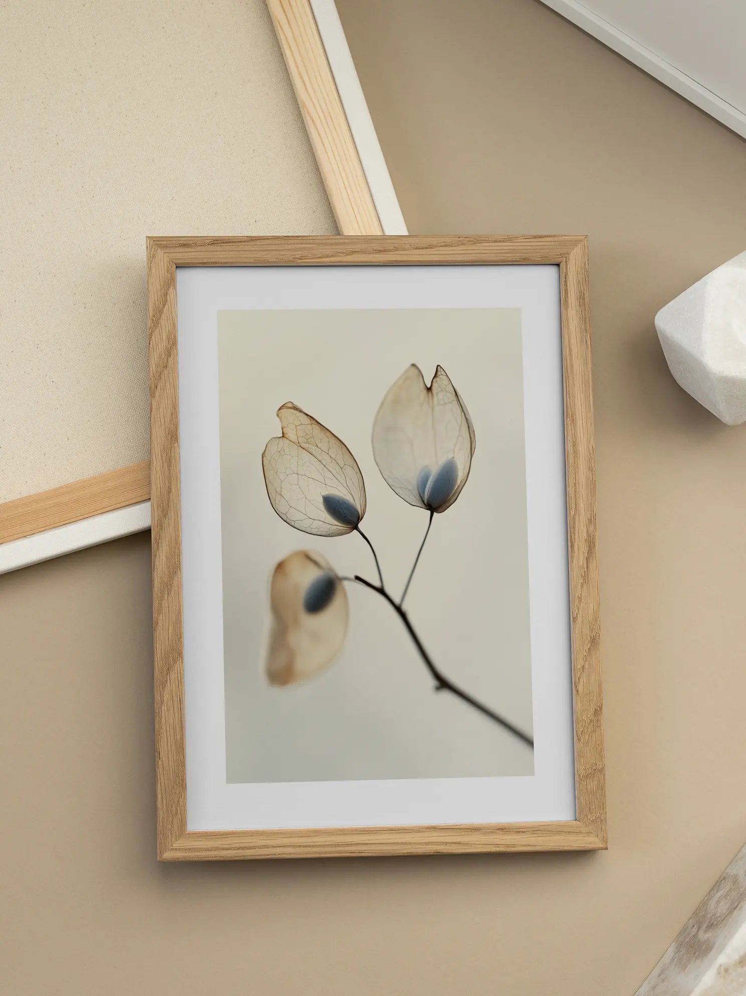 Delicate Seeds Poster