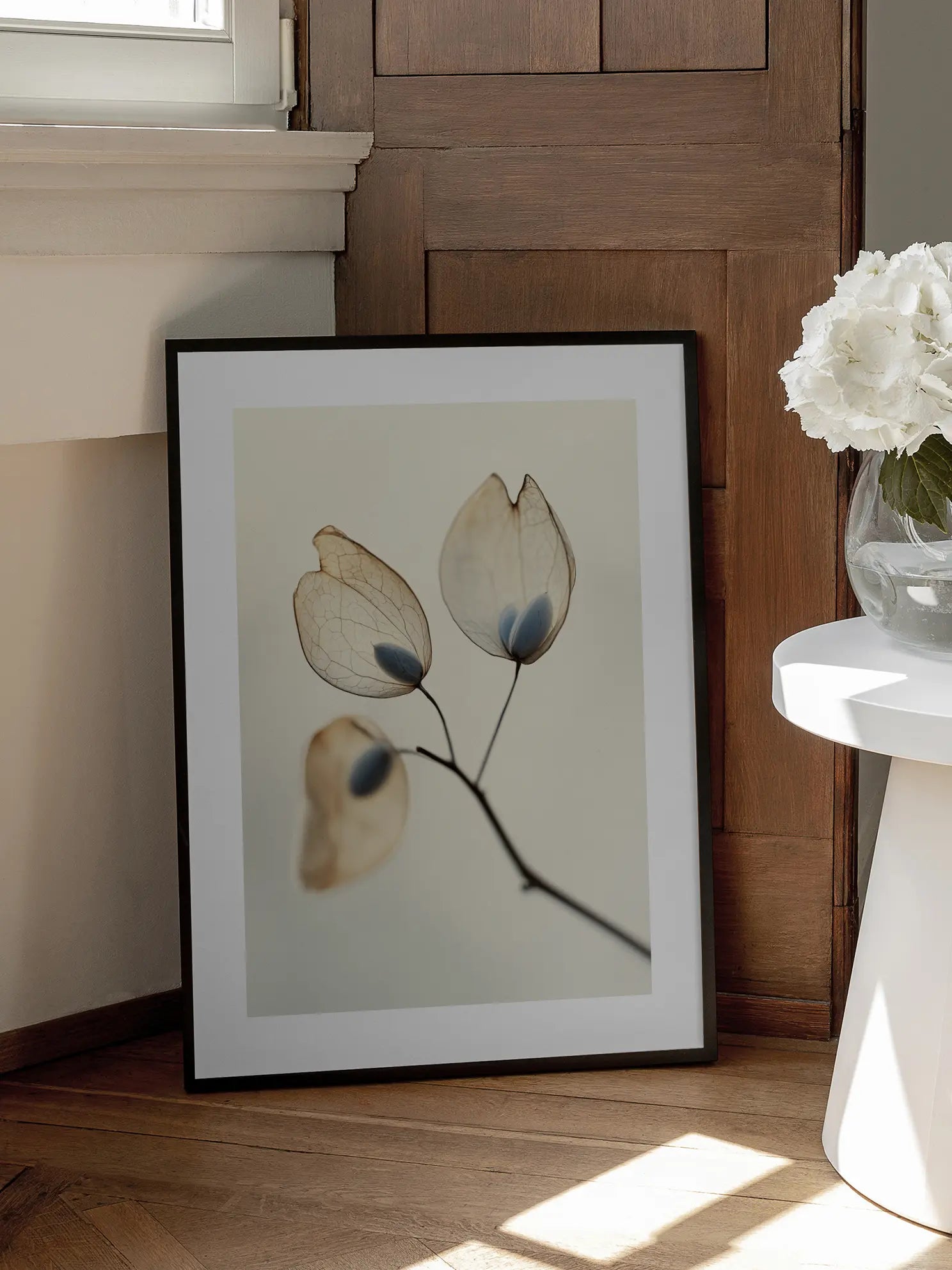 Delicate Seeds Poster