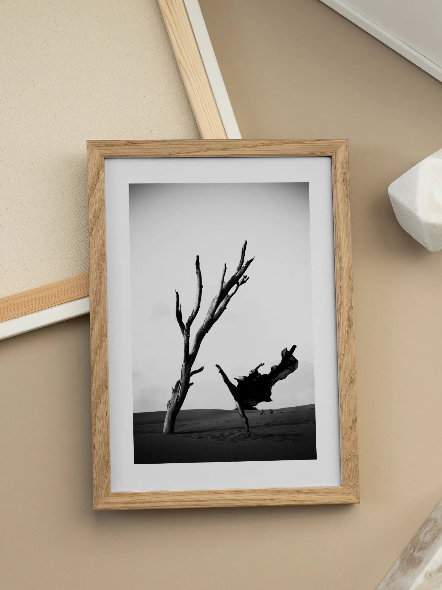 Desert Ballerina Poster