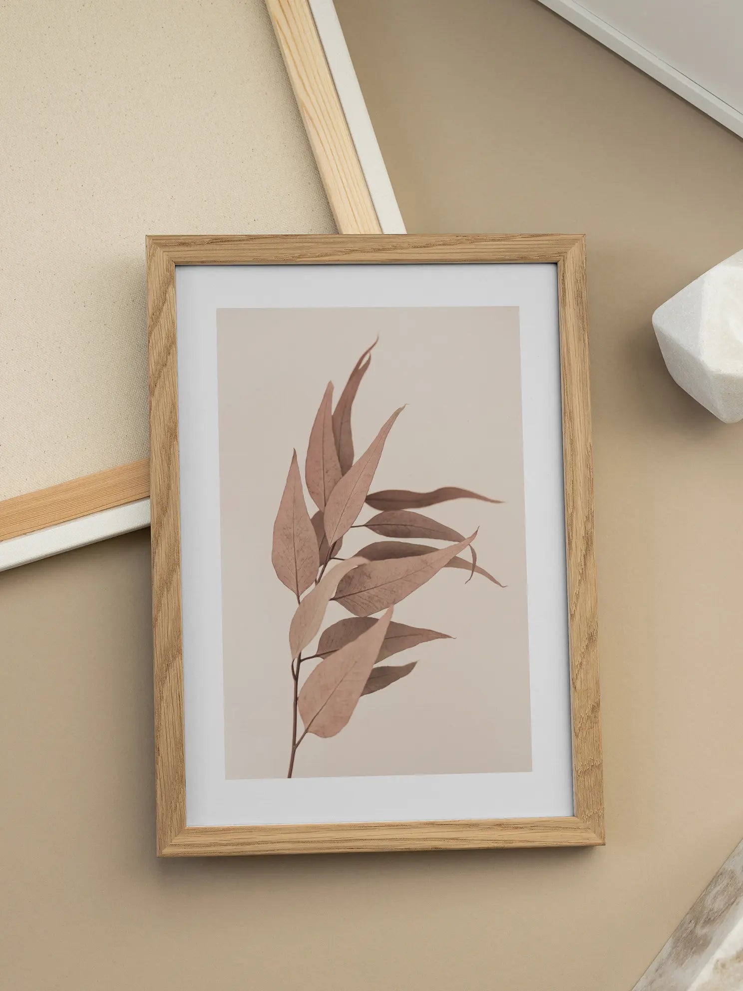 Dried Eucalyptus Poster