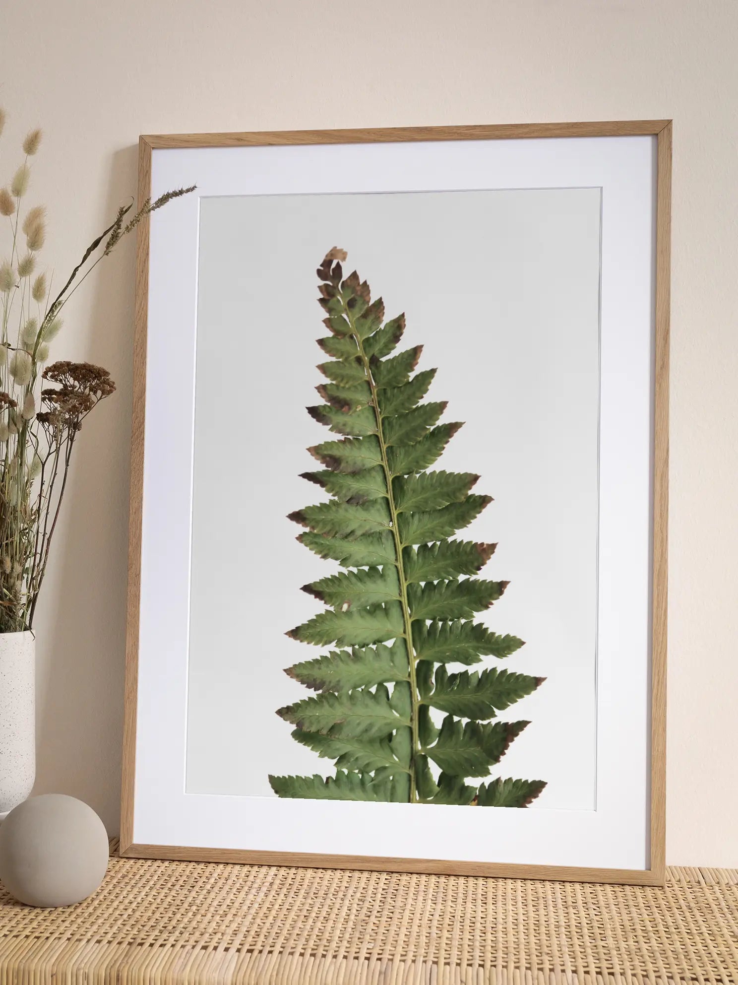 Dried Fern Poster