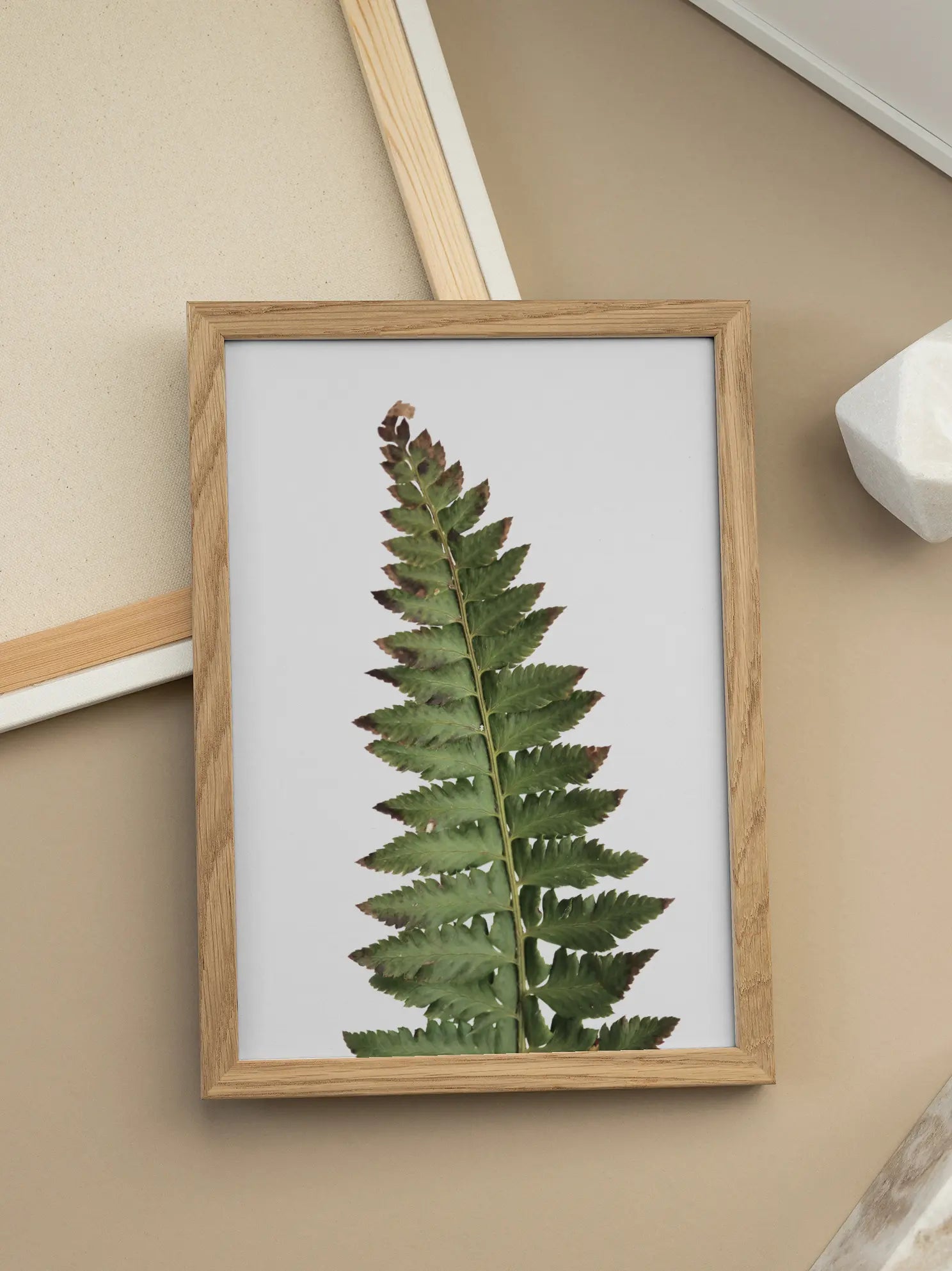 Dried Fern Poster