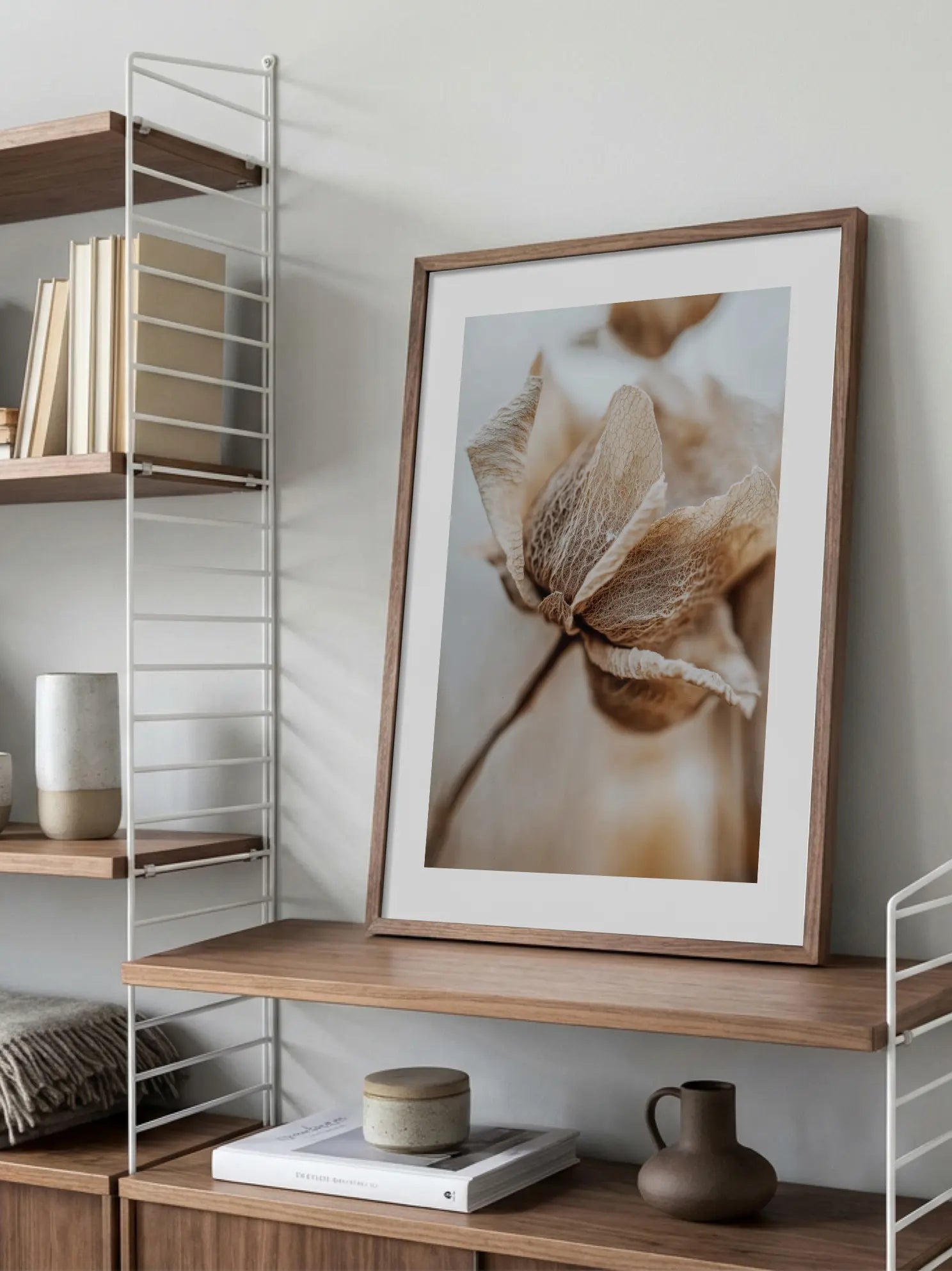 Dried Flower Close Up Poster