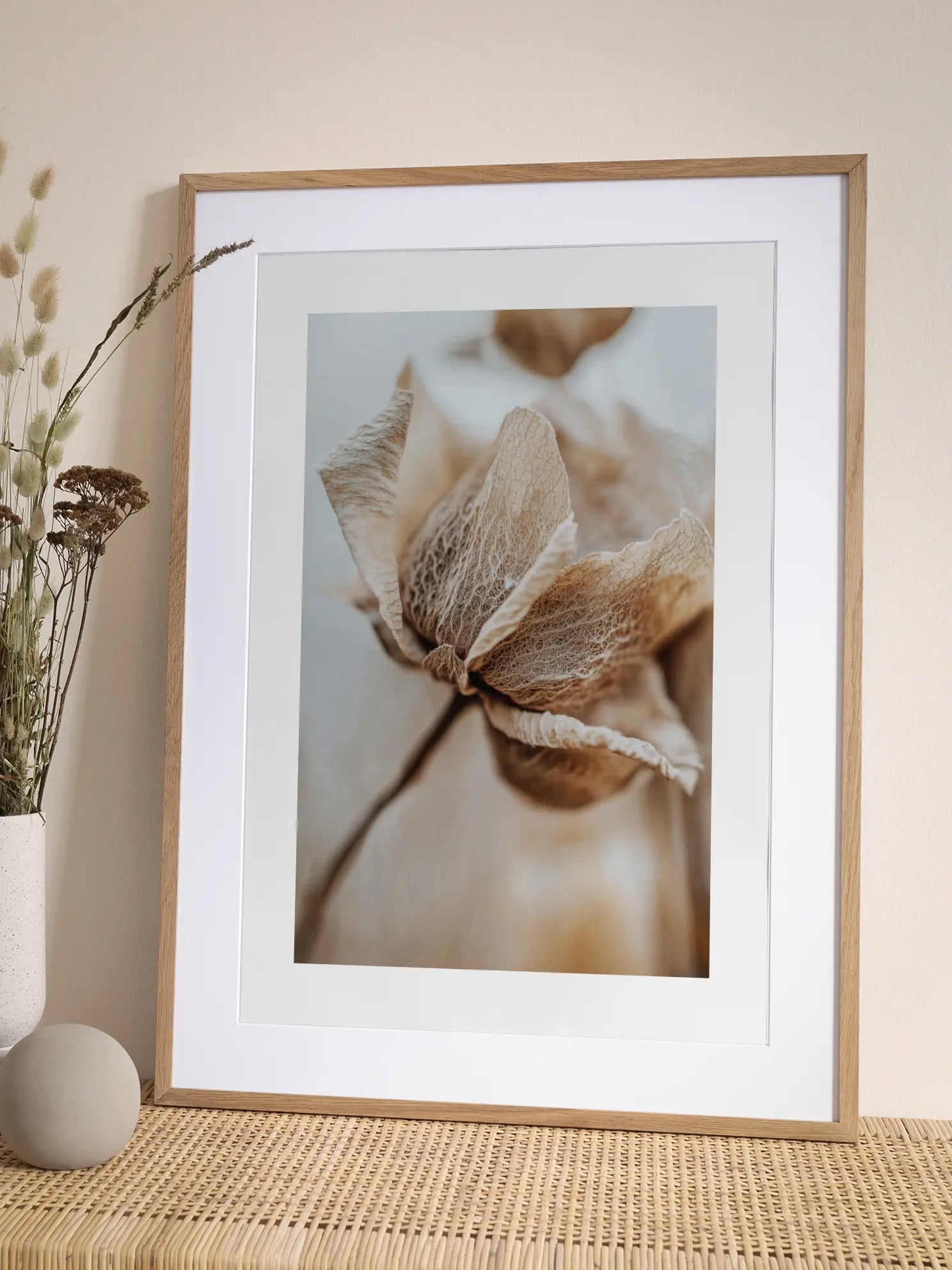 Dried Flower Close Up Poster