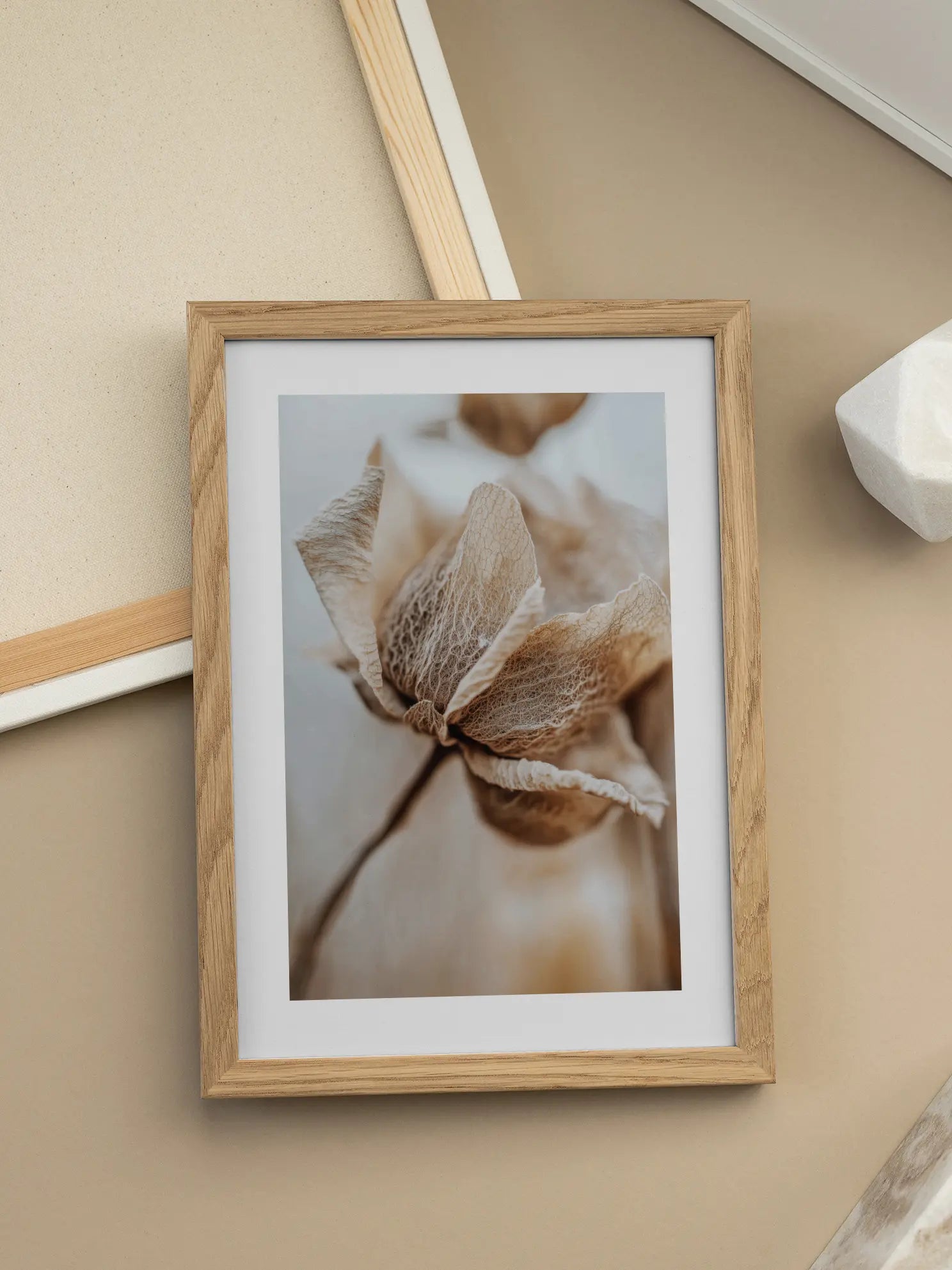 Dried Flower Close Up Poster