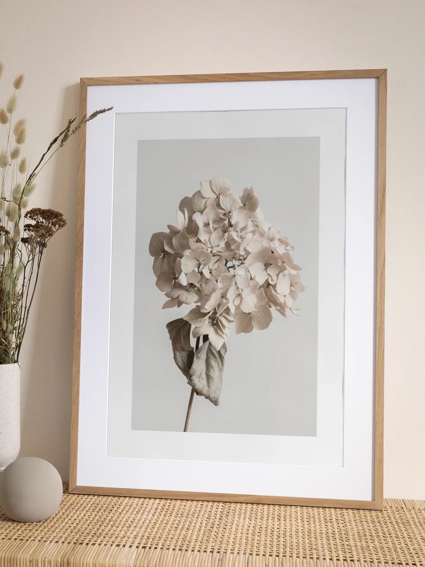 Dried Hydrangea Poster