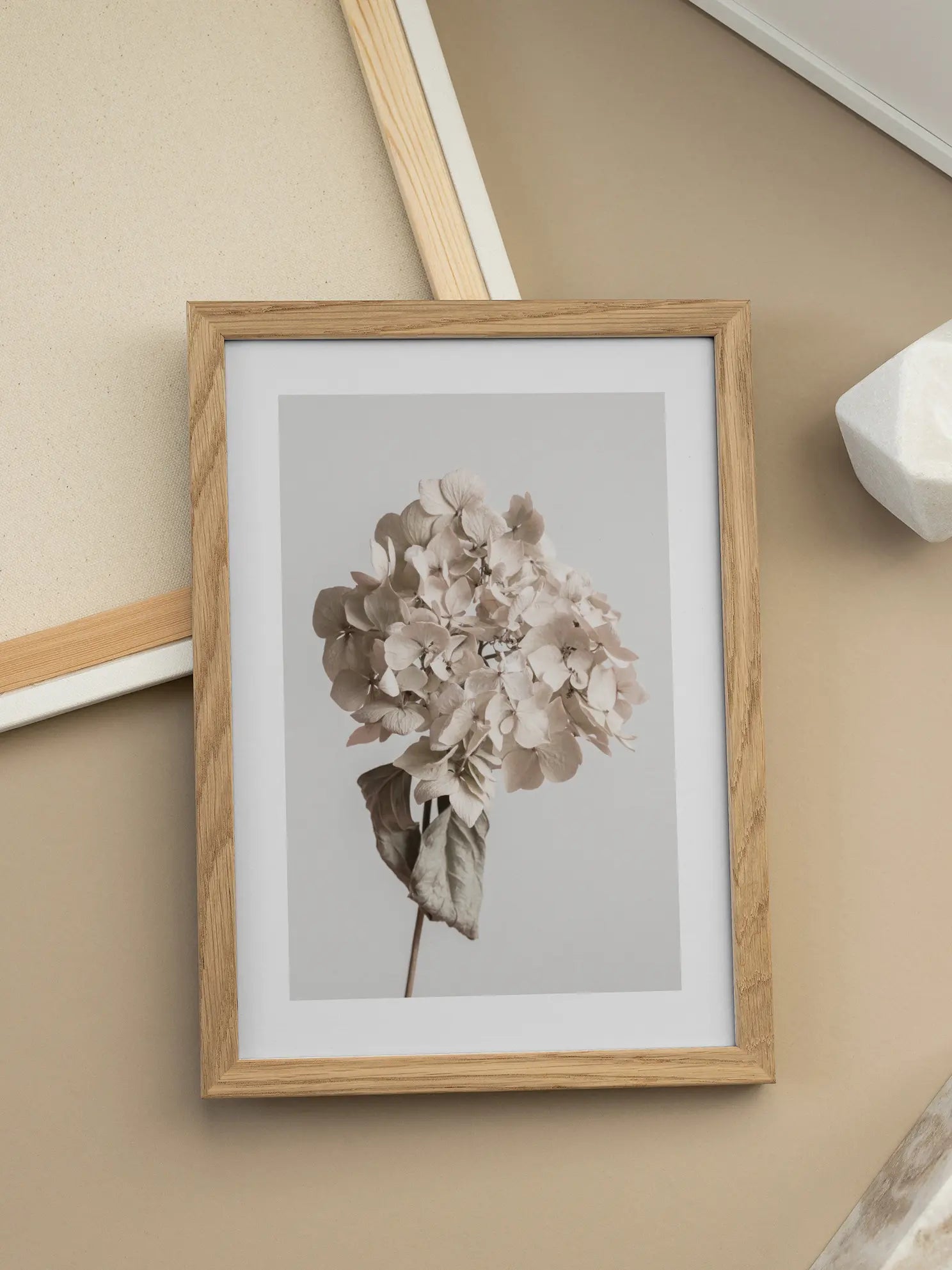 Dried Hydrangea Poster