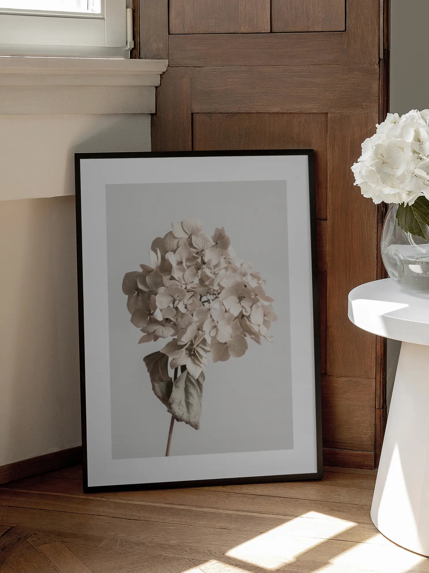 Dried Hydrangea Poster