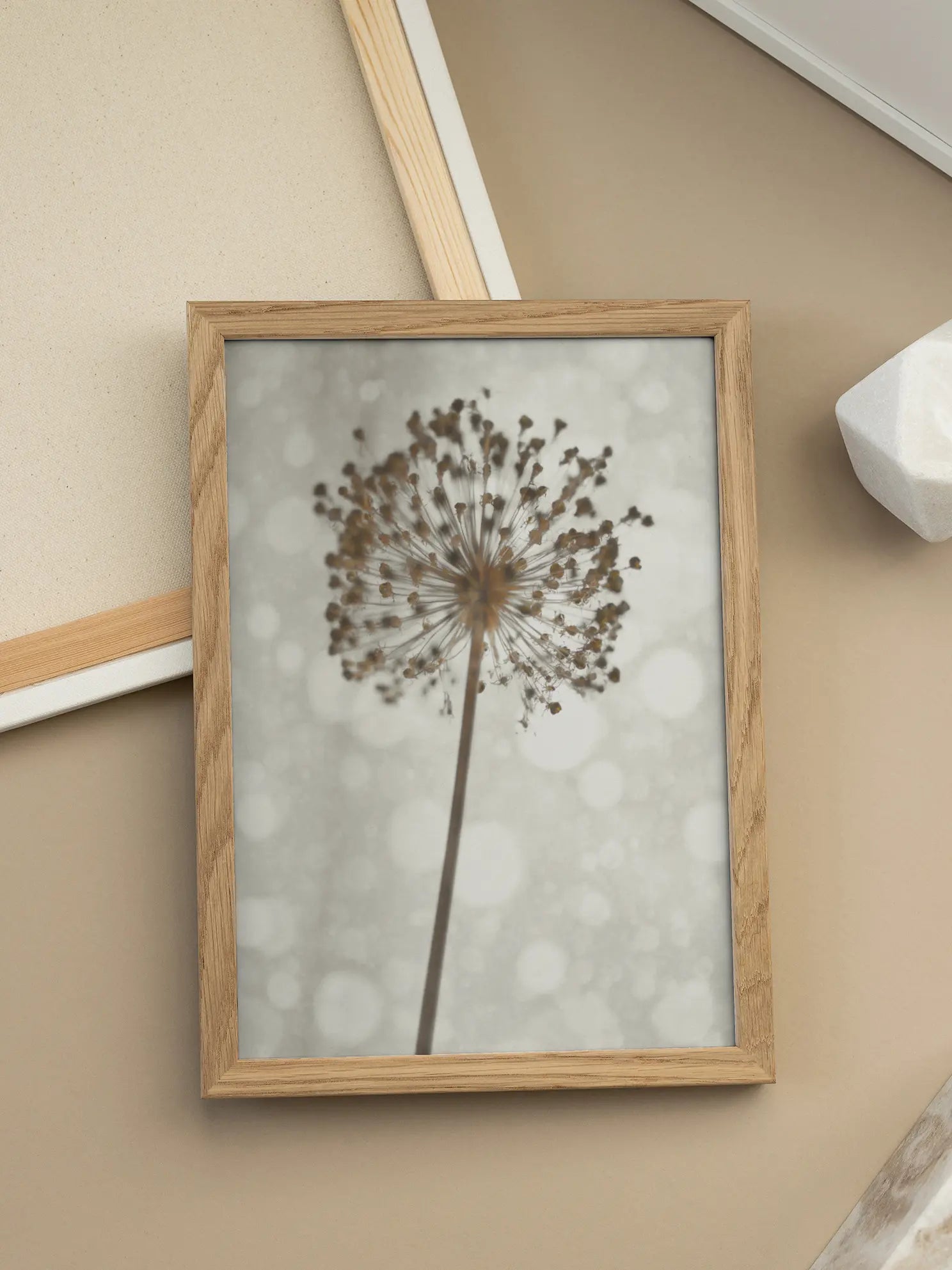 Dried Plant Poster