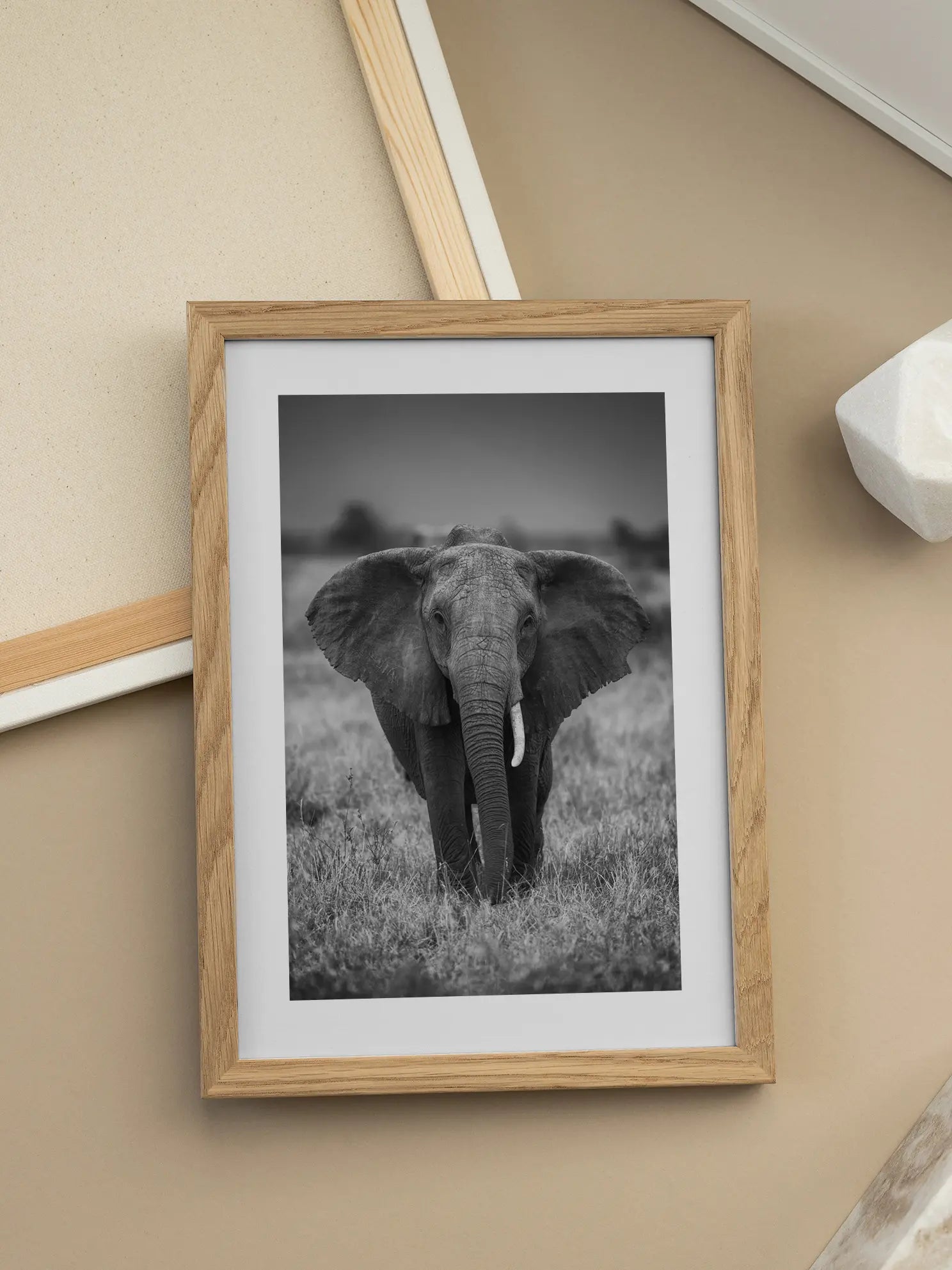 Elephant King Poster