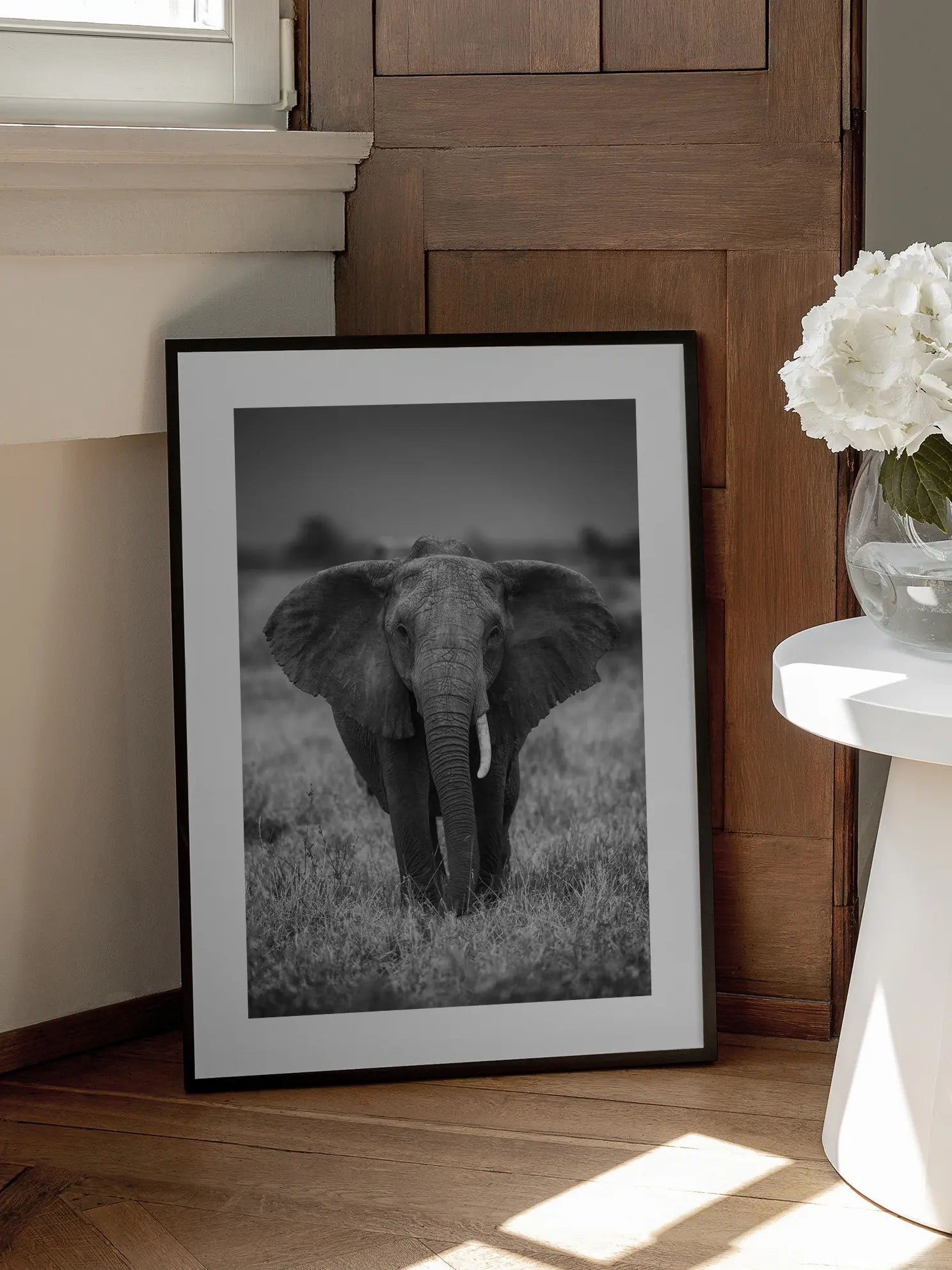 Elephant King Poster