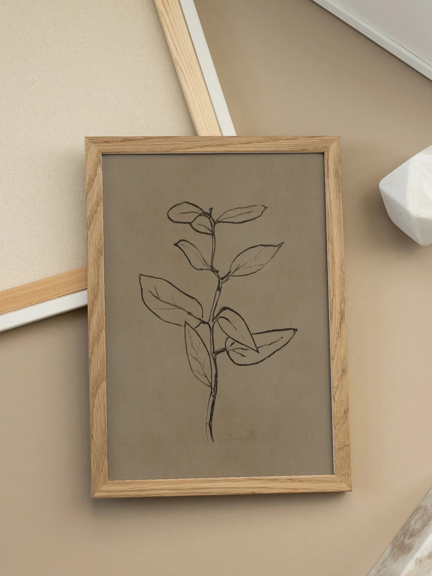 Eucalyptus Sapling Poster