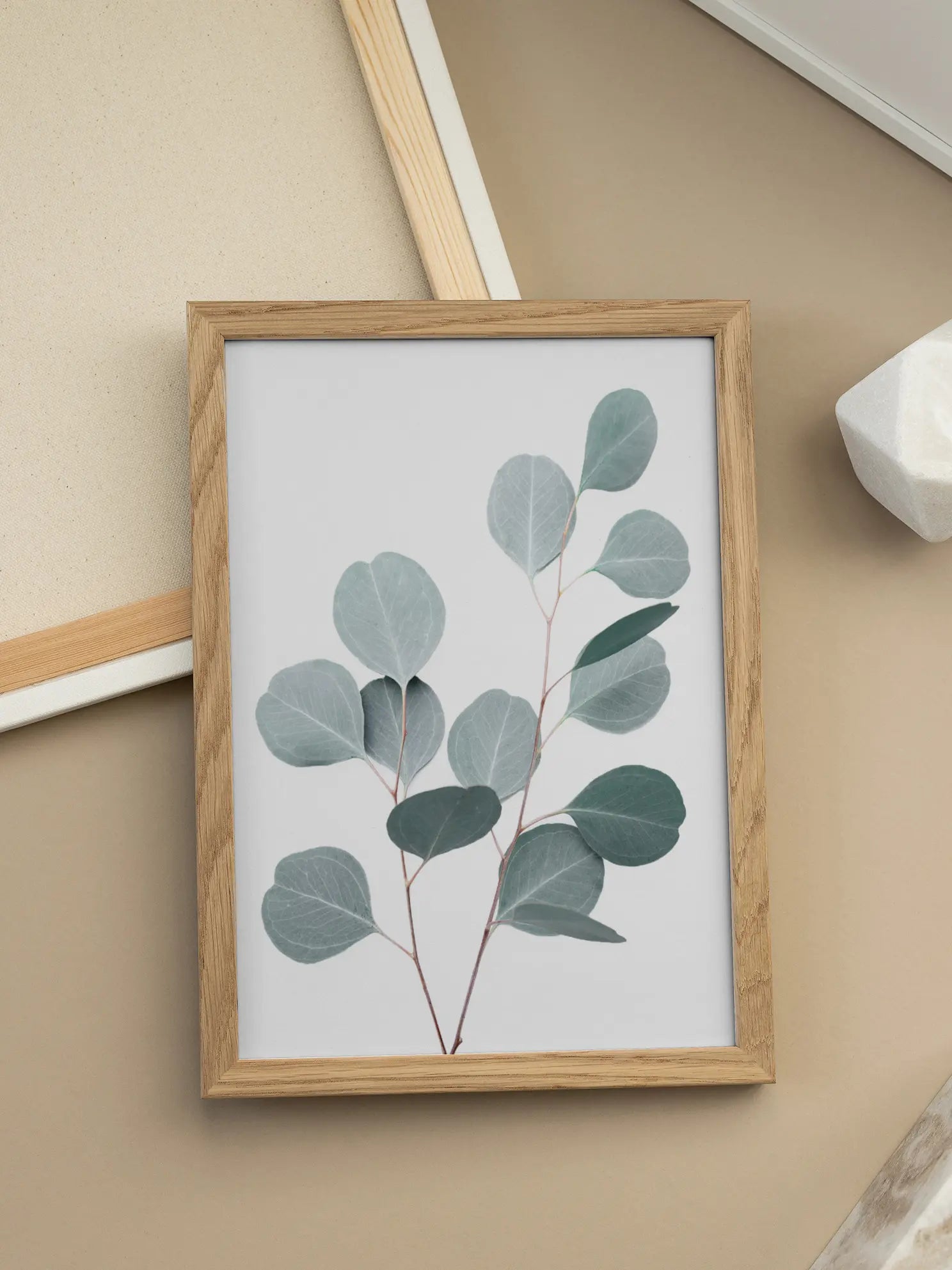 Eucalyptus Twigs Poster