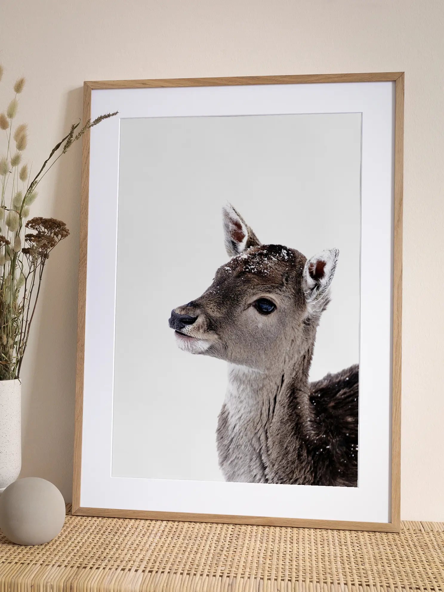 Fawn in Snow Poster