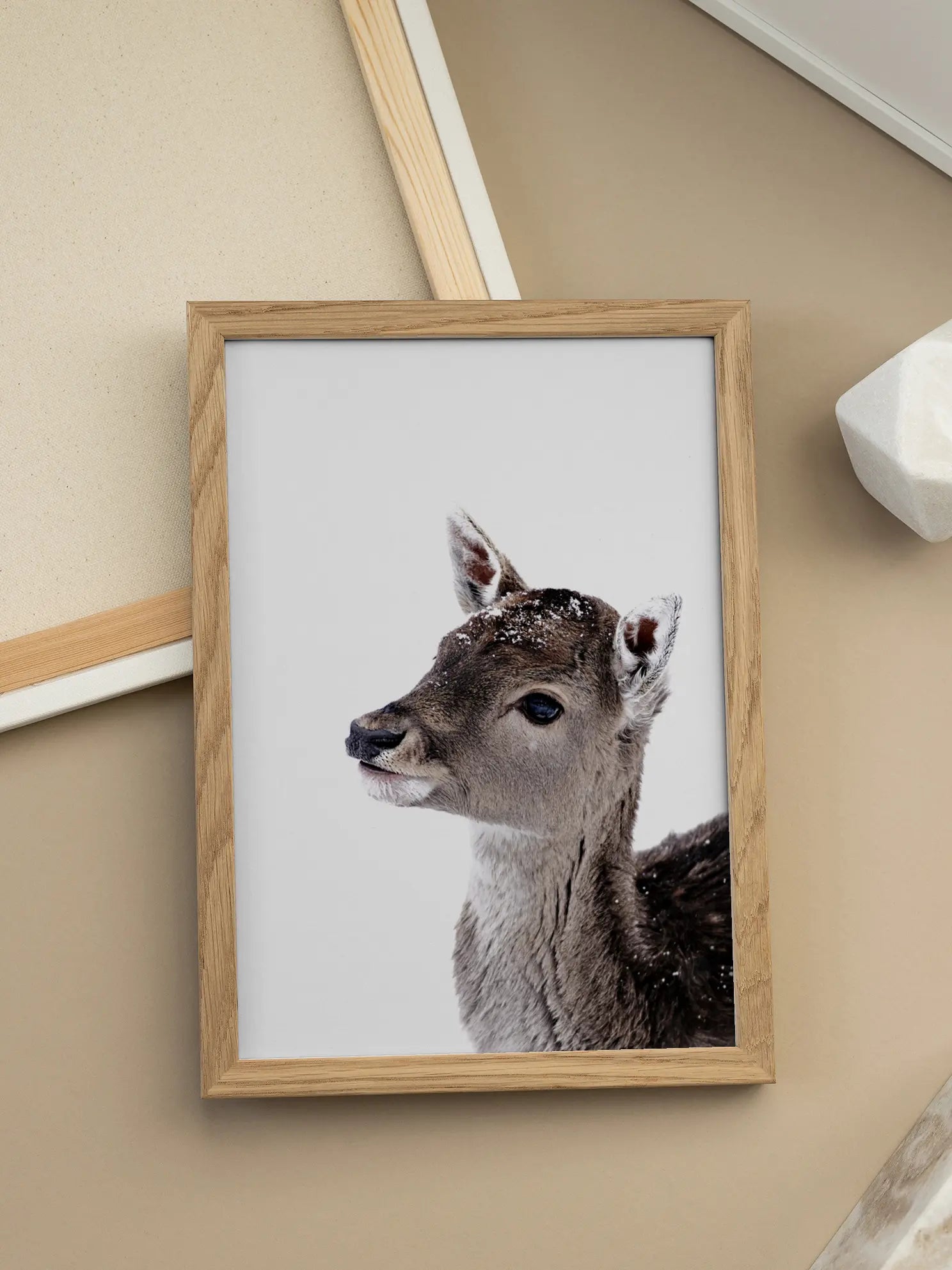Fawn in Snow Poster