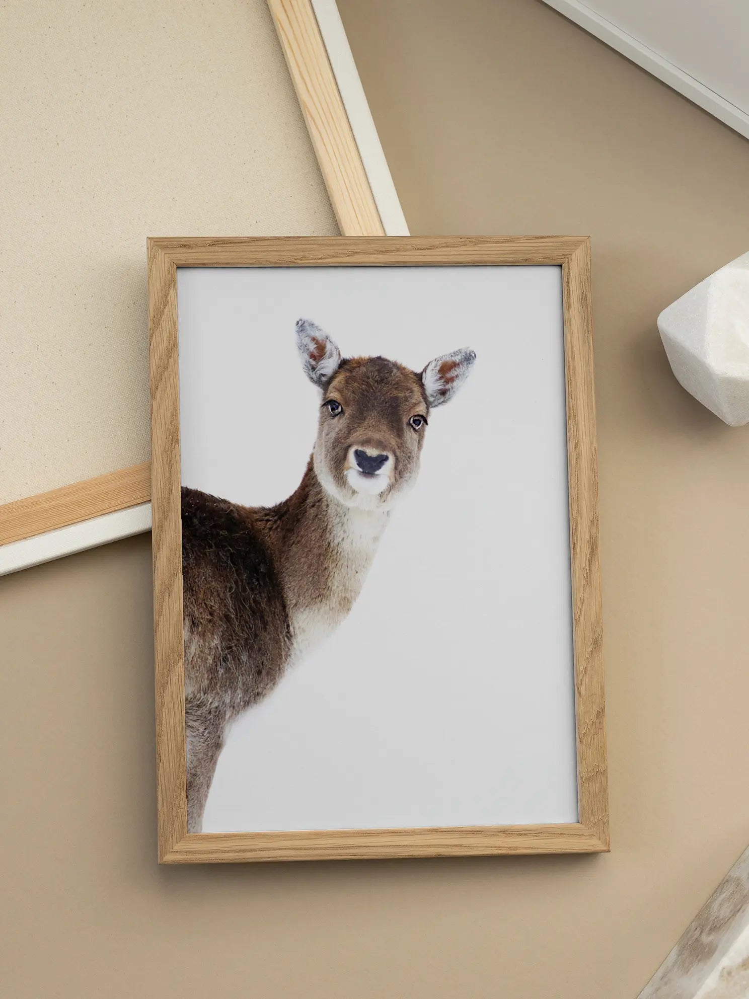 Fawn Poster