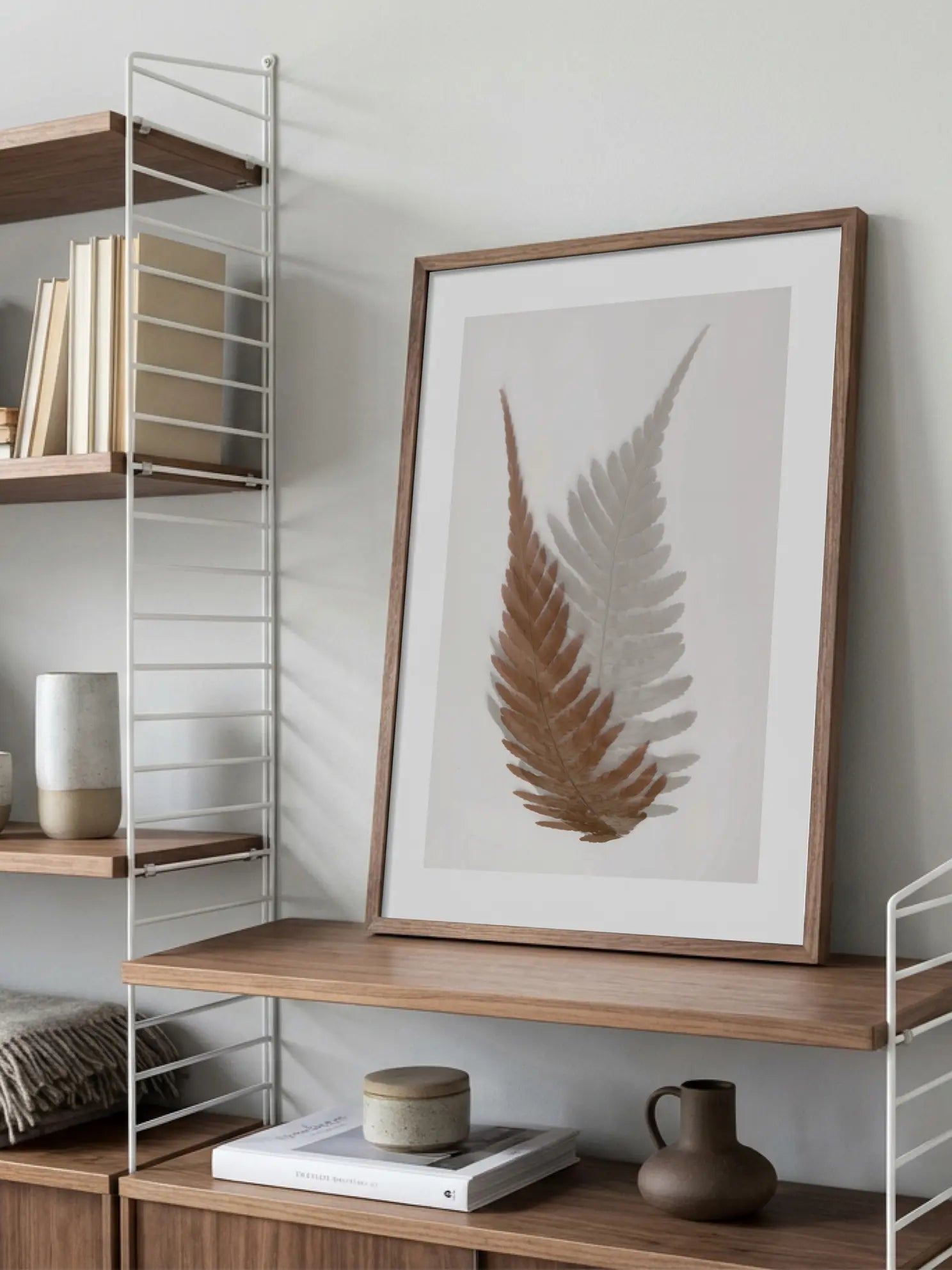 Ferns Poster