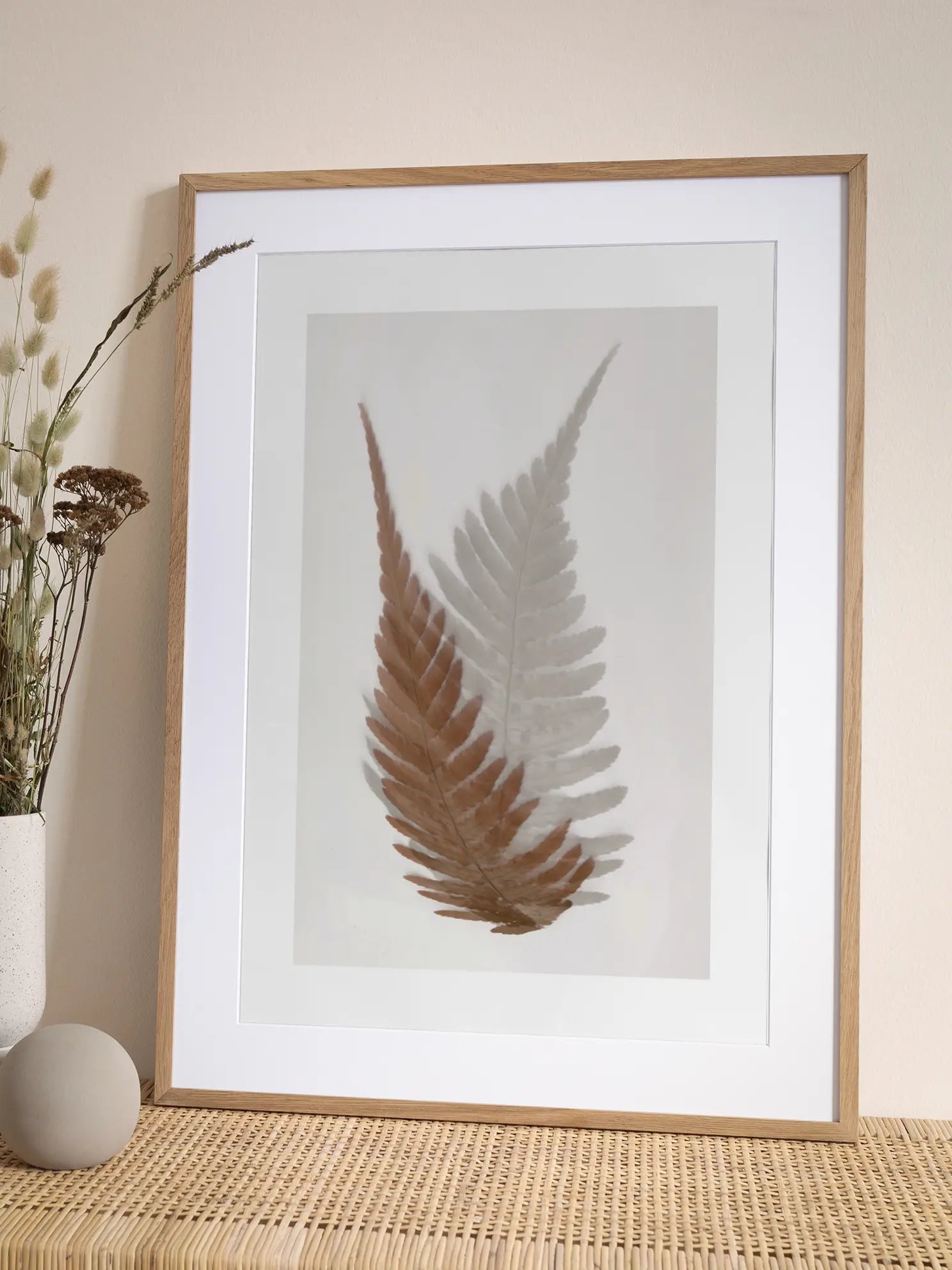 Ferns Poster