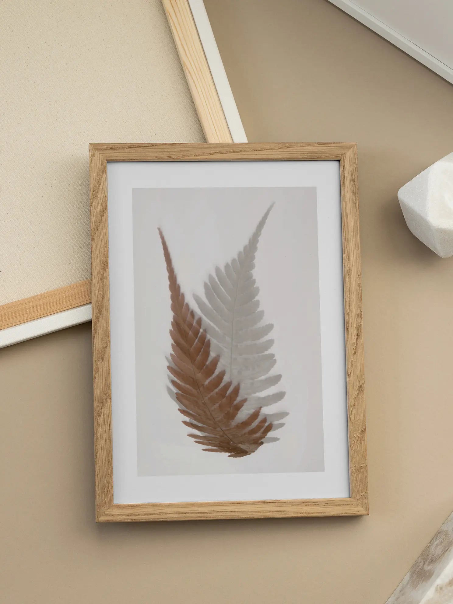 Ferns Poster