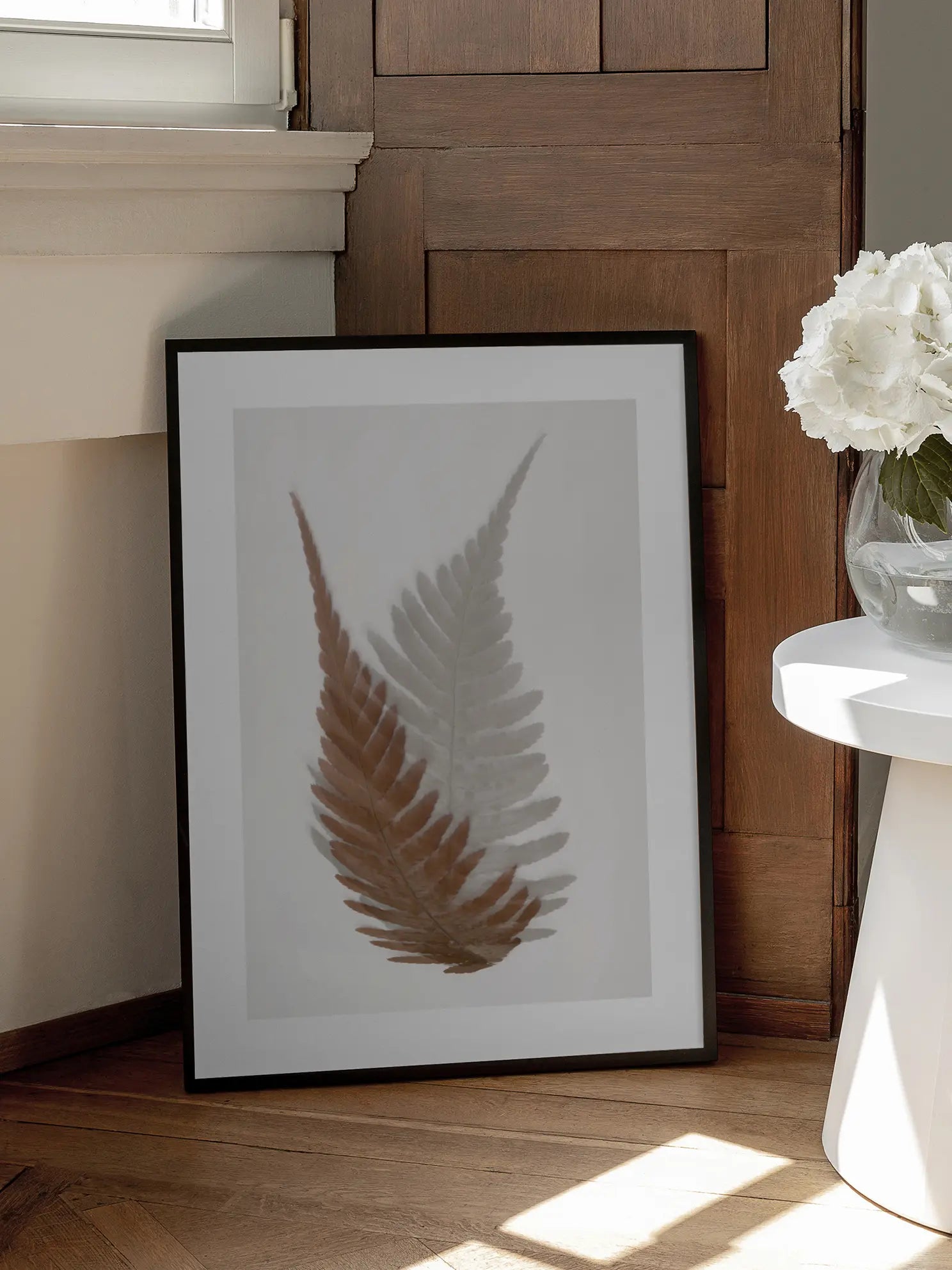 Ferns Poster