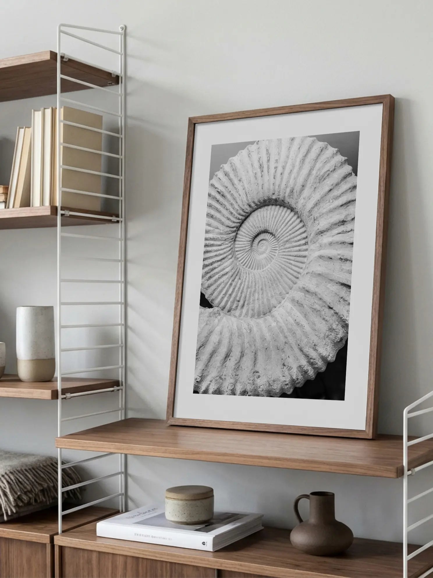 Fossil Poster