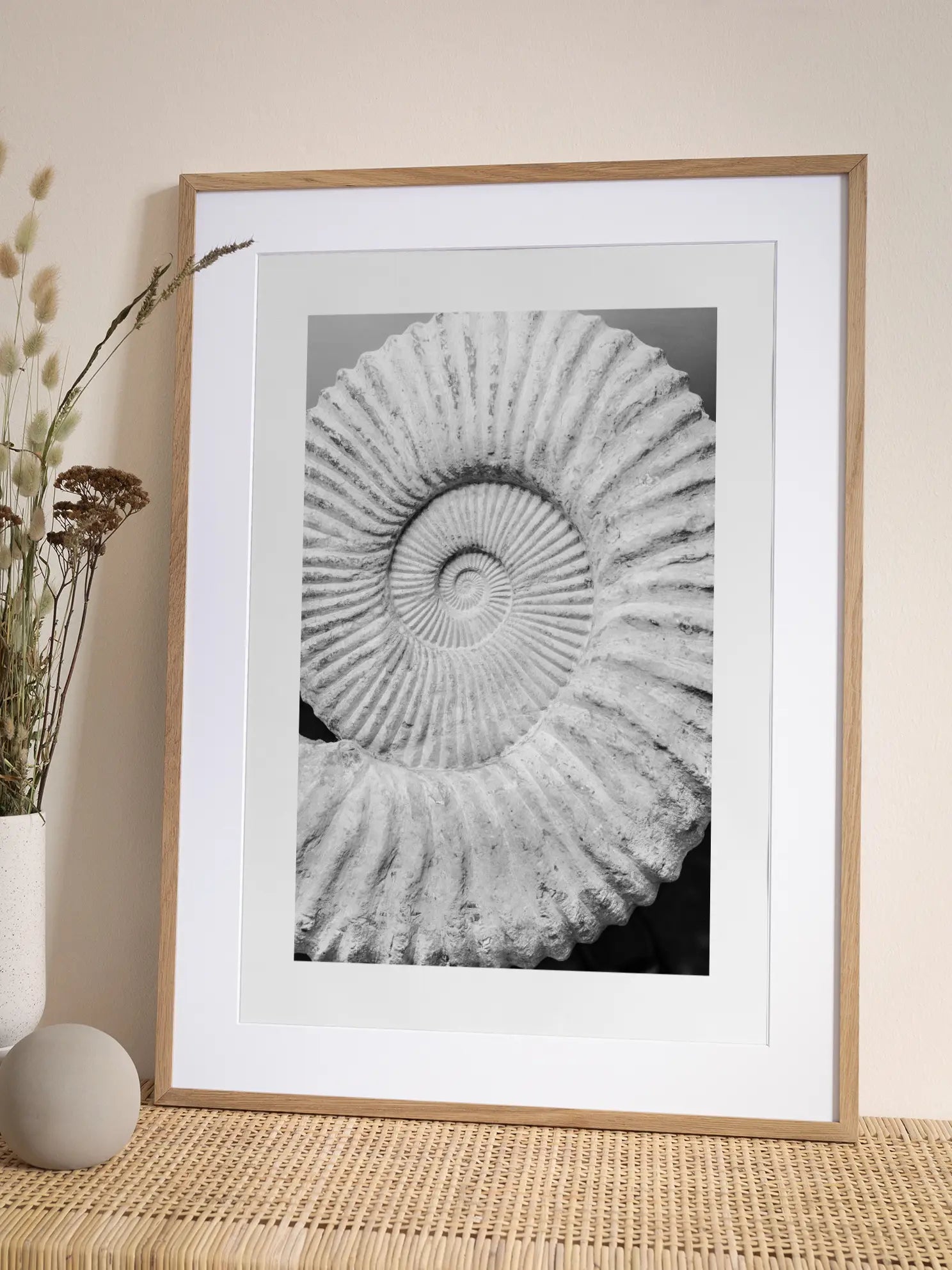 Fossil Poster
