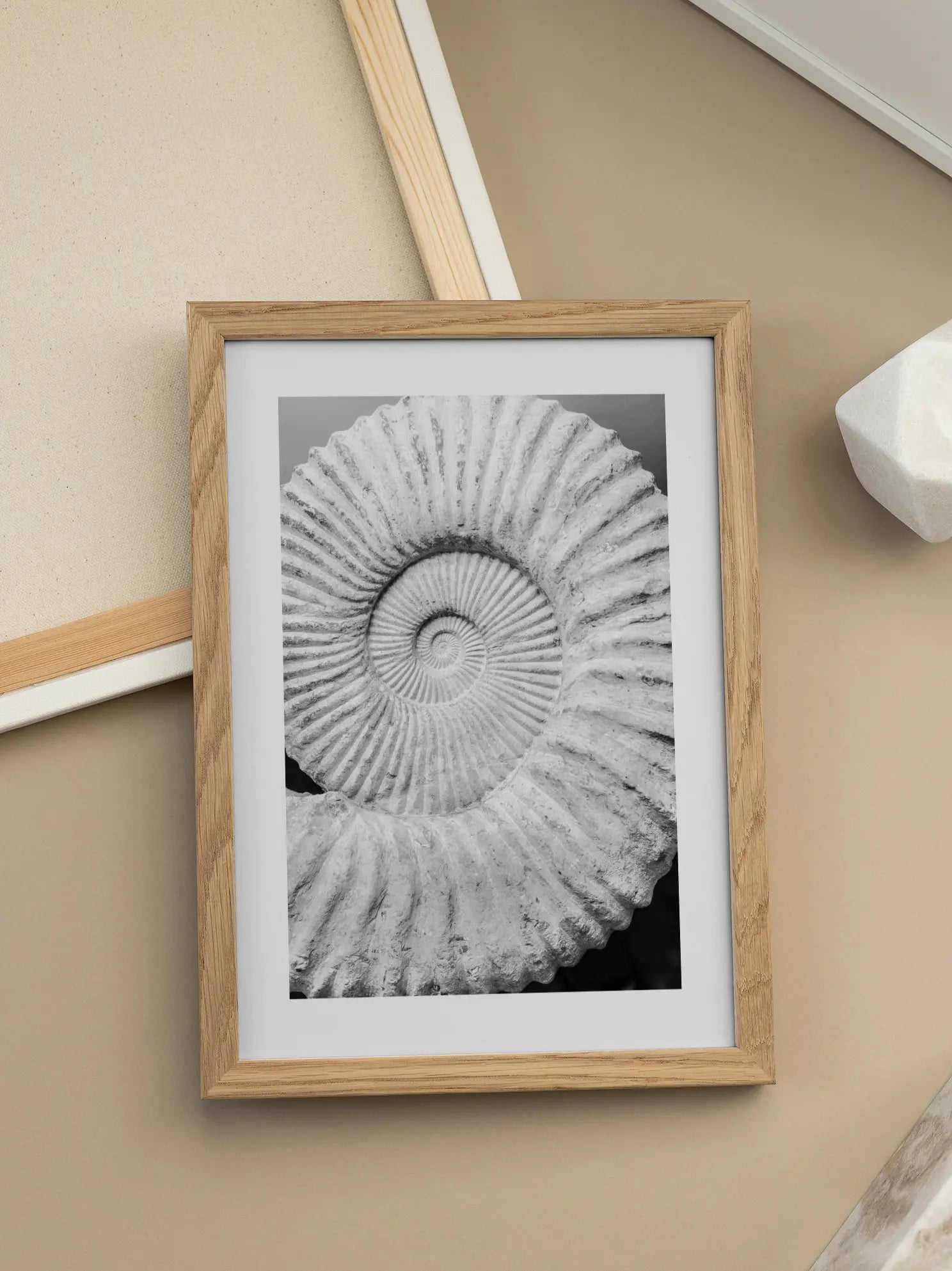 Fossil Poster