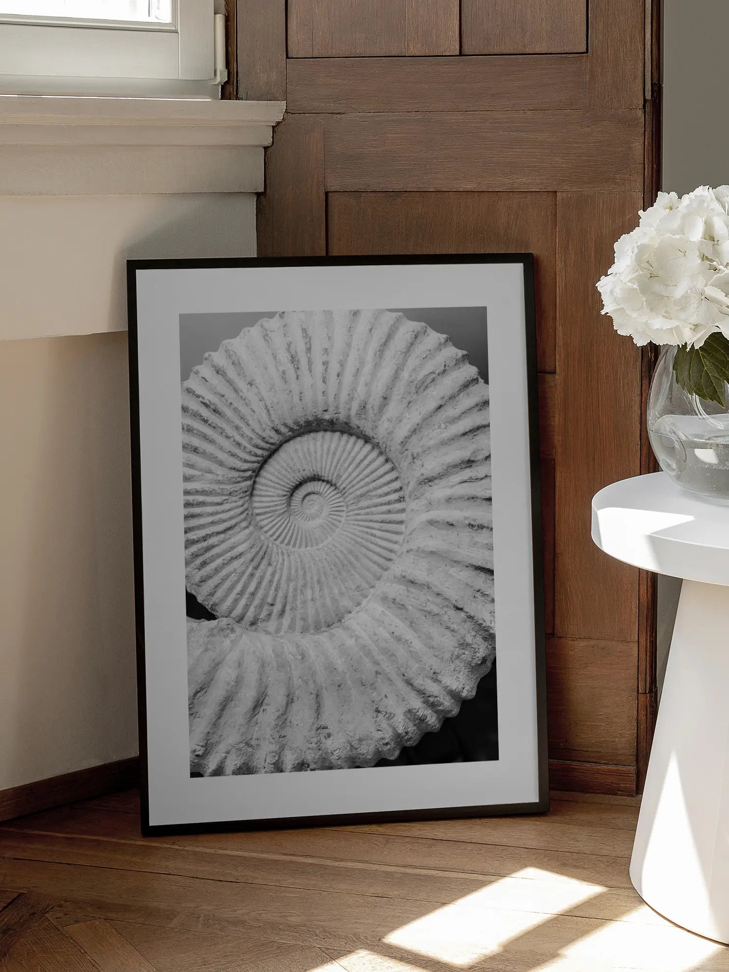 Fossil Poster