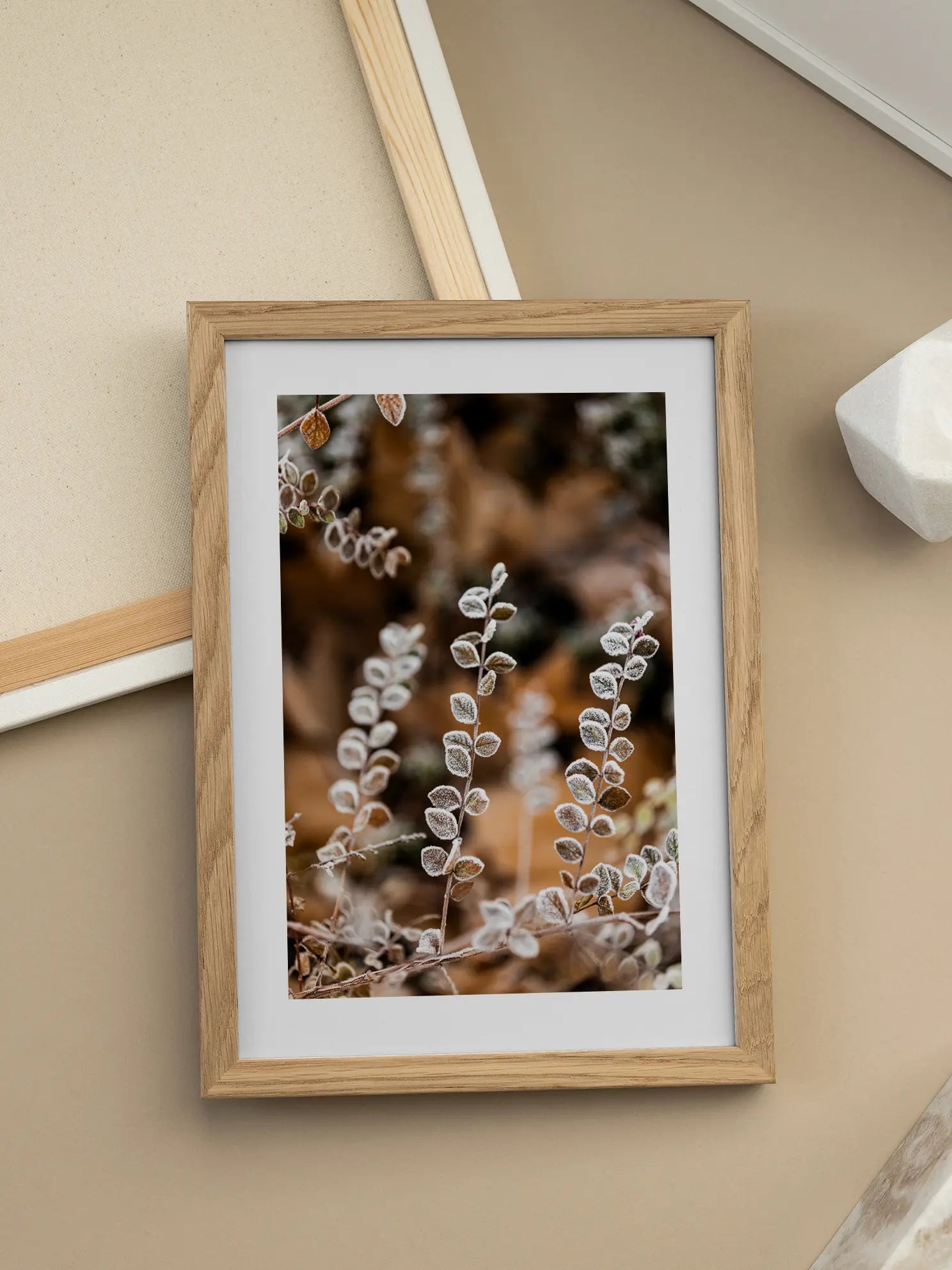 Frosty Leaves Poster