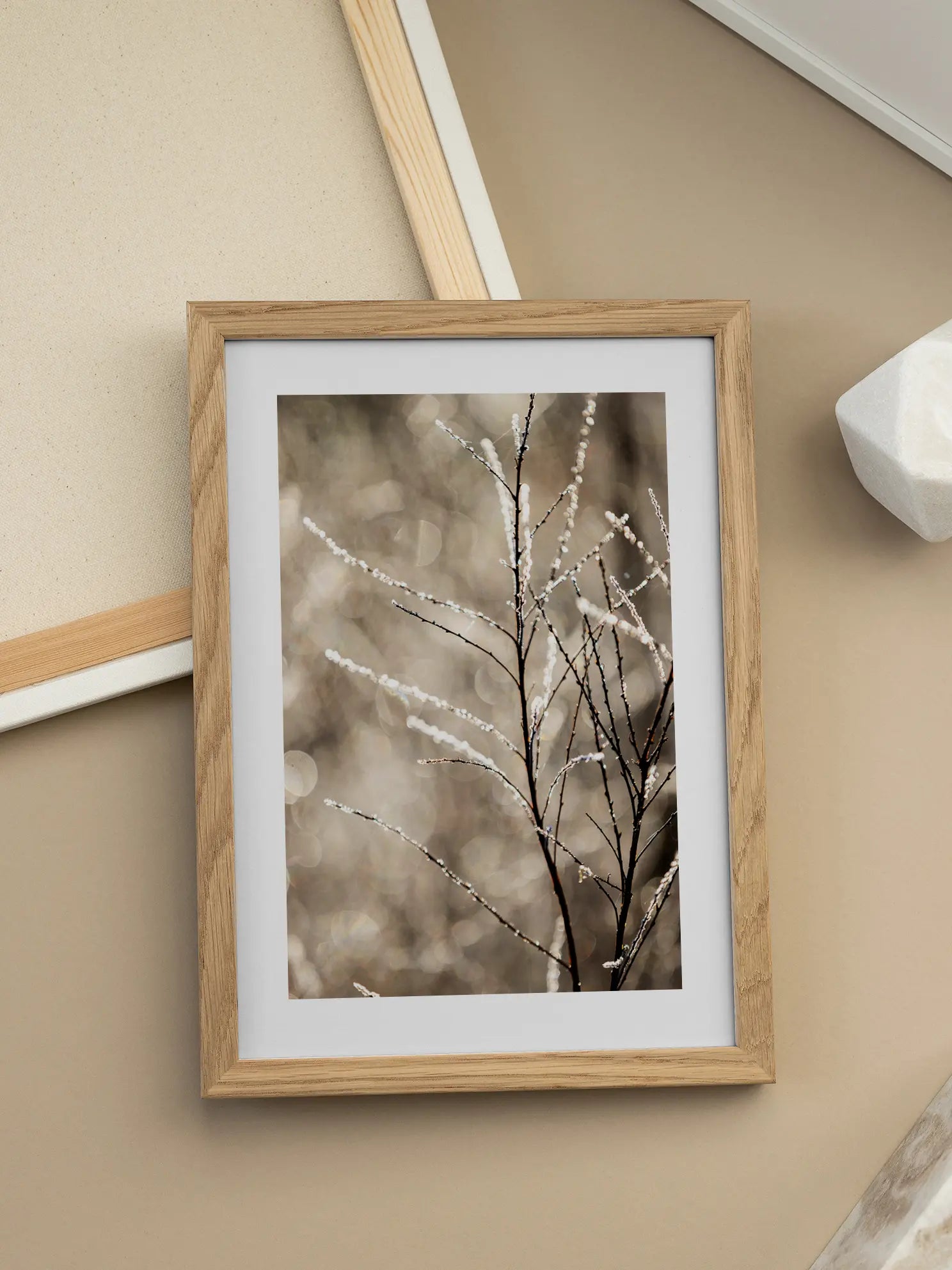 Frozen Branches Poster