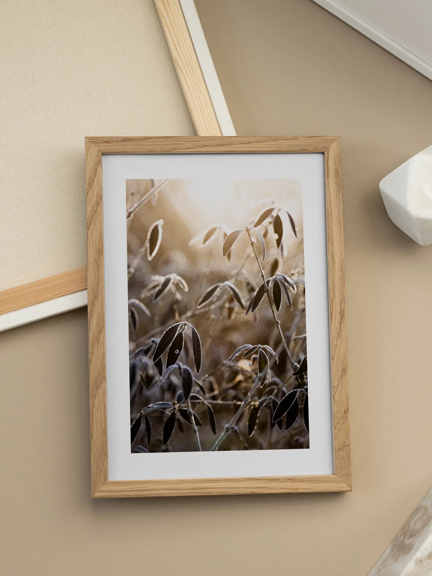 Frozen Leaves Poster