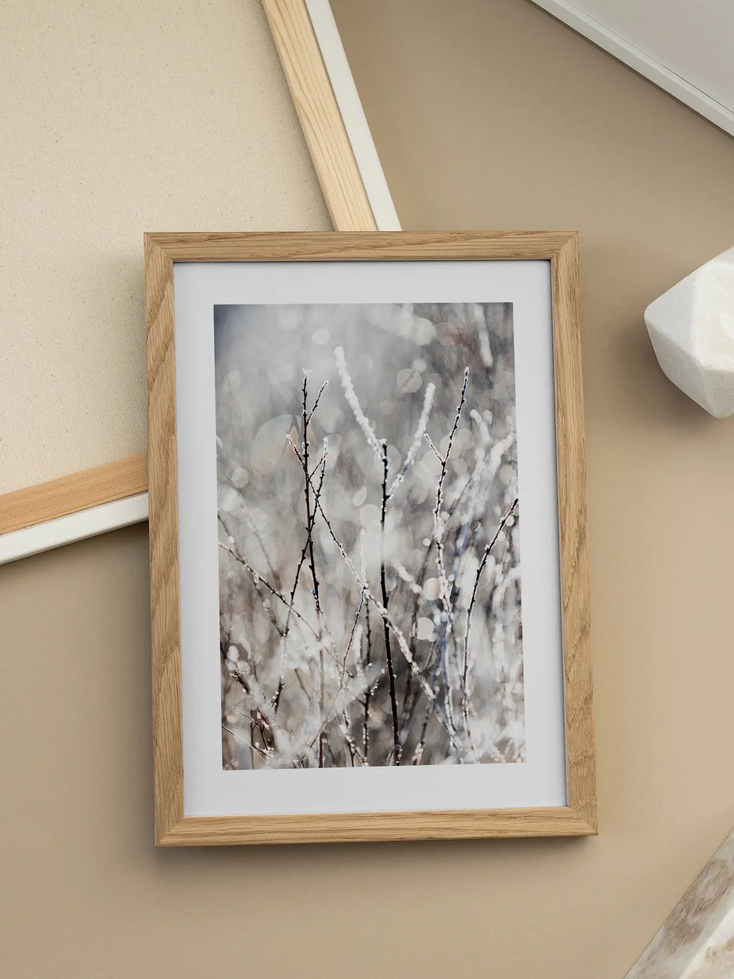 Frozen Plants Poster