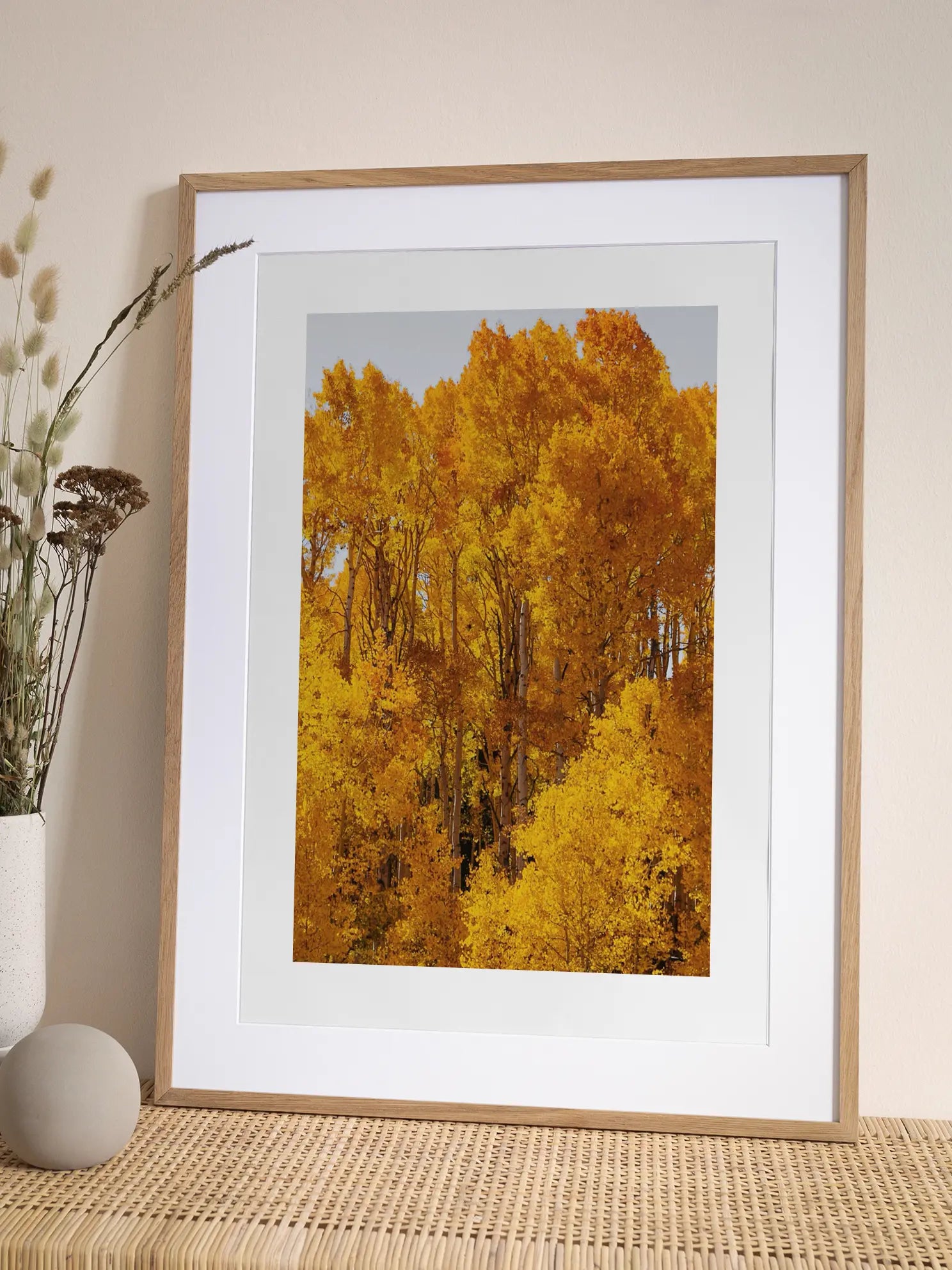 Golden Aspen Forest Poster