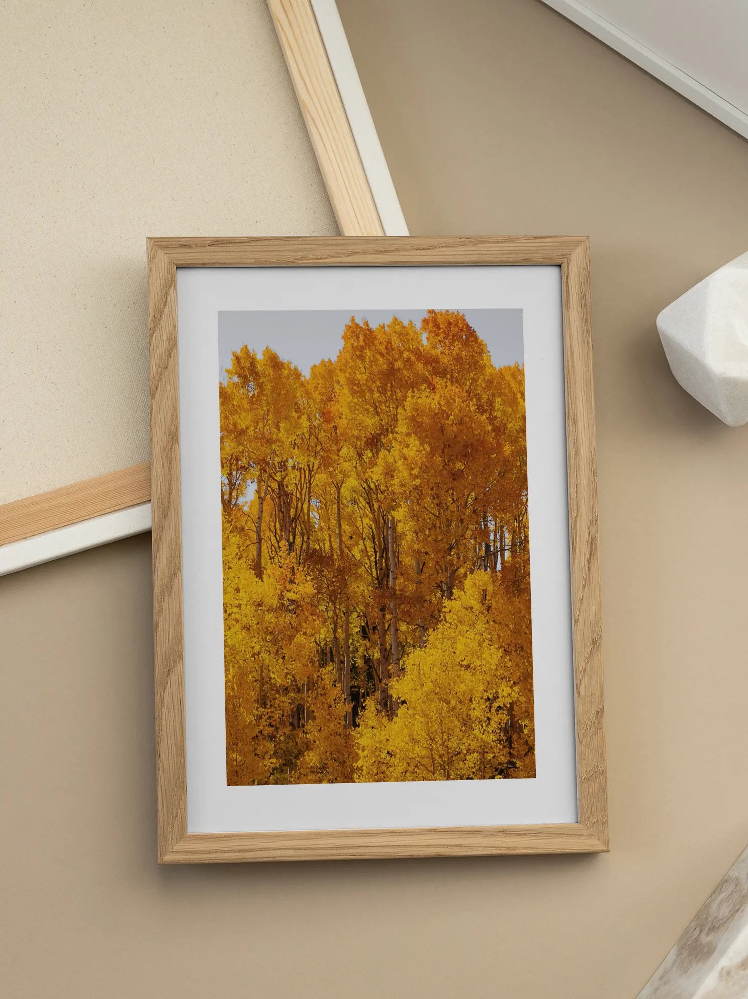 Golden Aspen Forest Poster