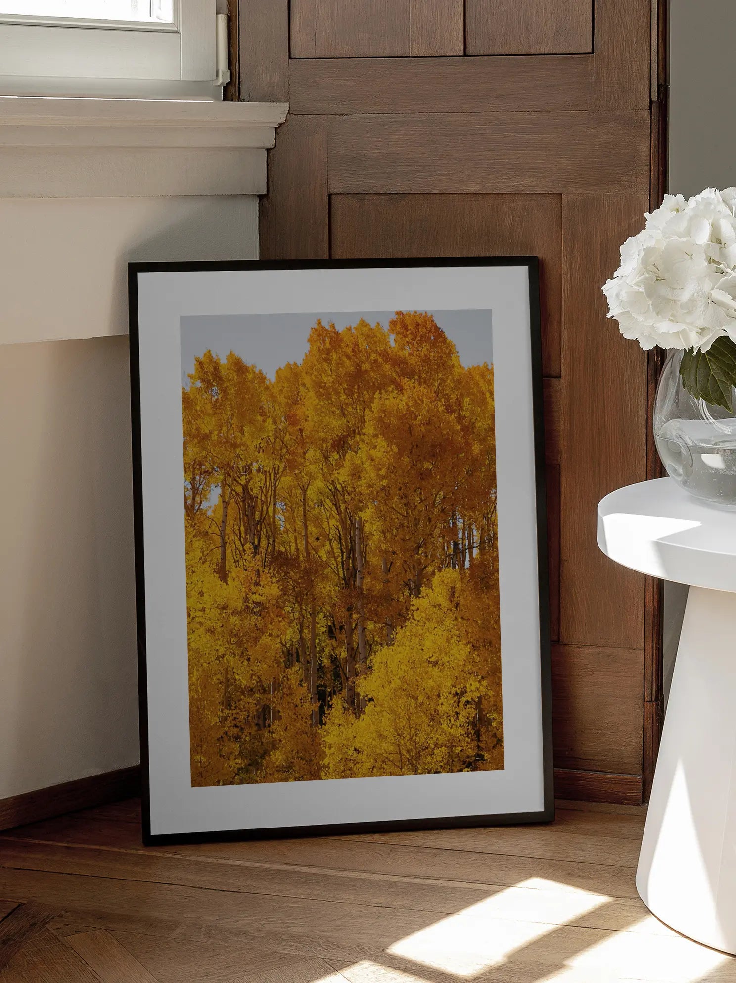 Golden Aspen Forest Poster
