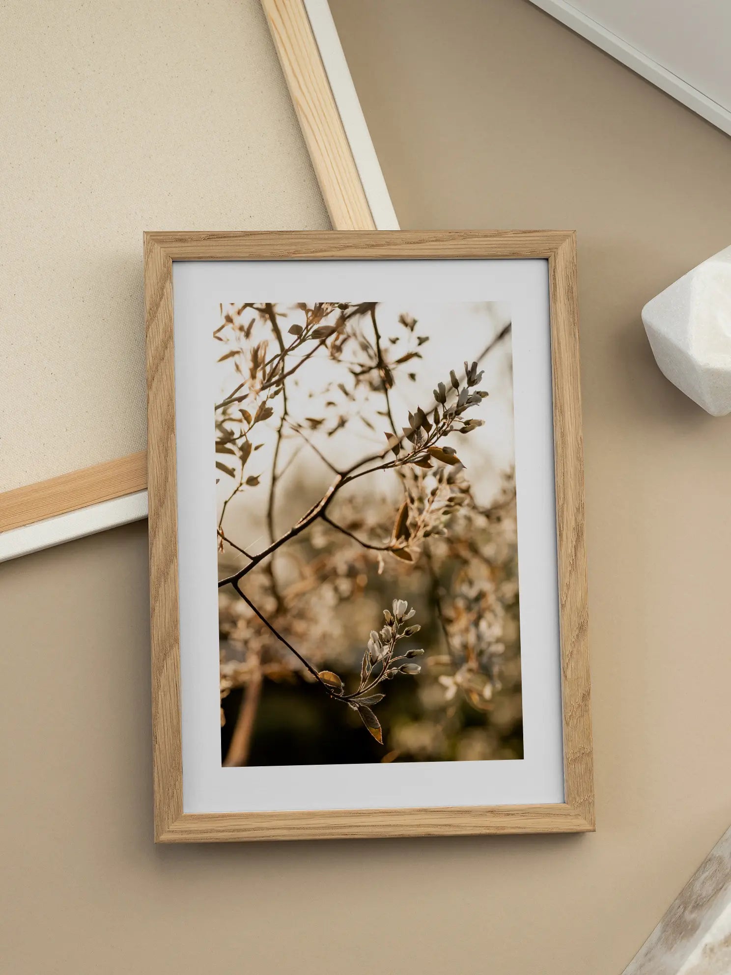 Golden Hour Blossoms Poster